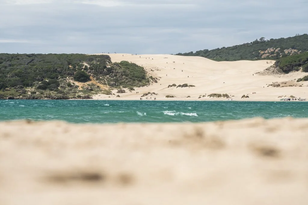 RodrigoUngaro_RodrigoUngaro__DSC8180.jpg
