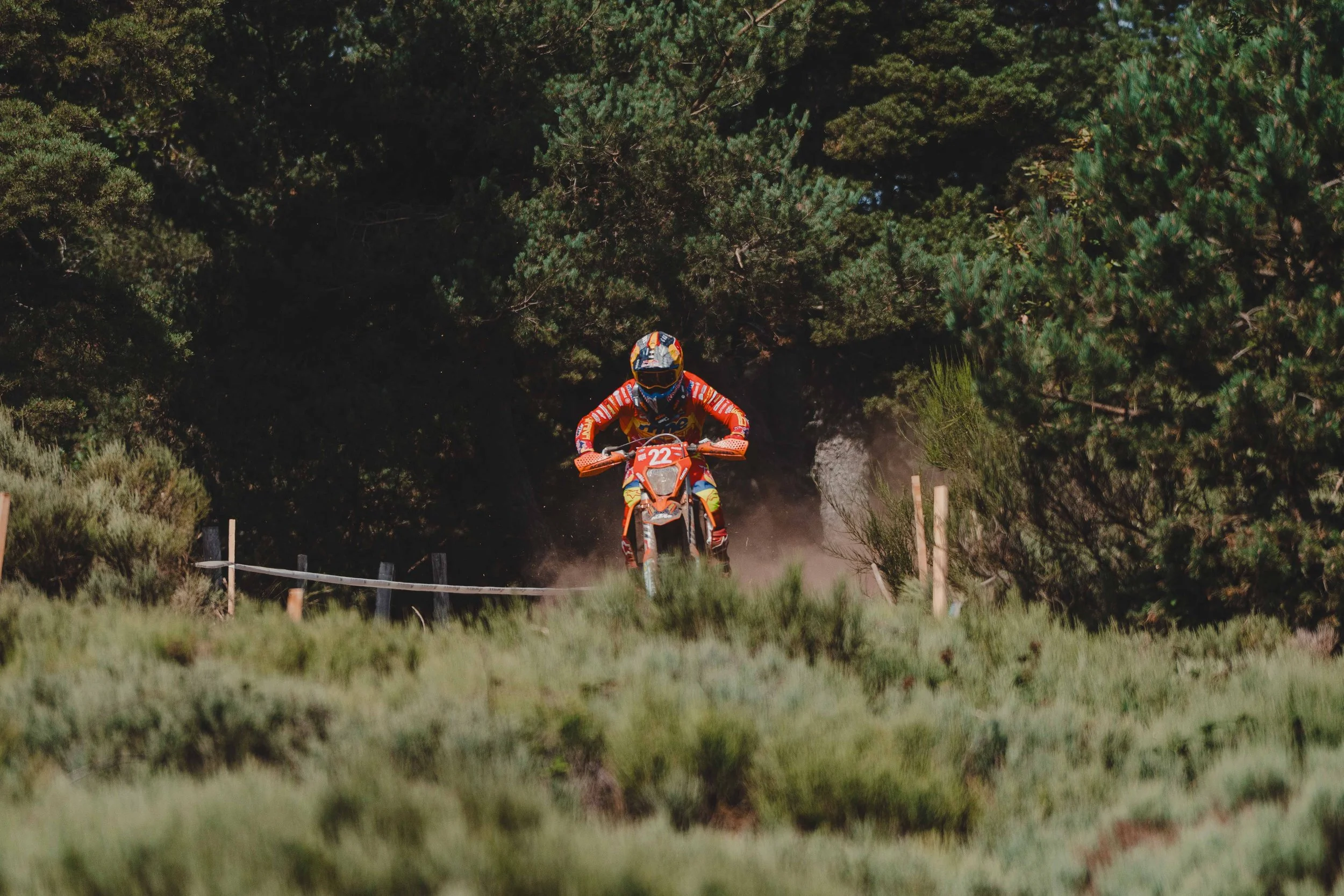 RodrigoUngaro-9905.jpg