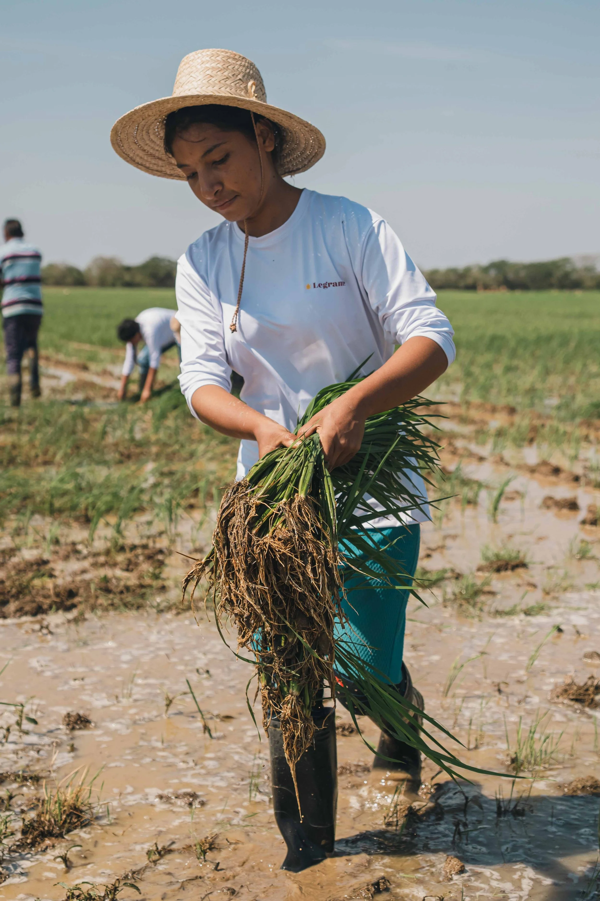 RodrigoUngaro-2741.jpg