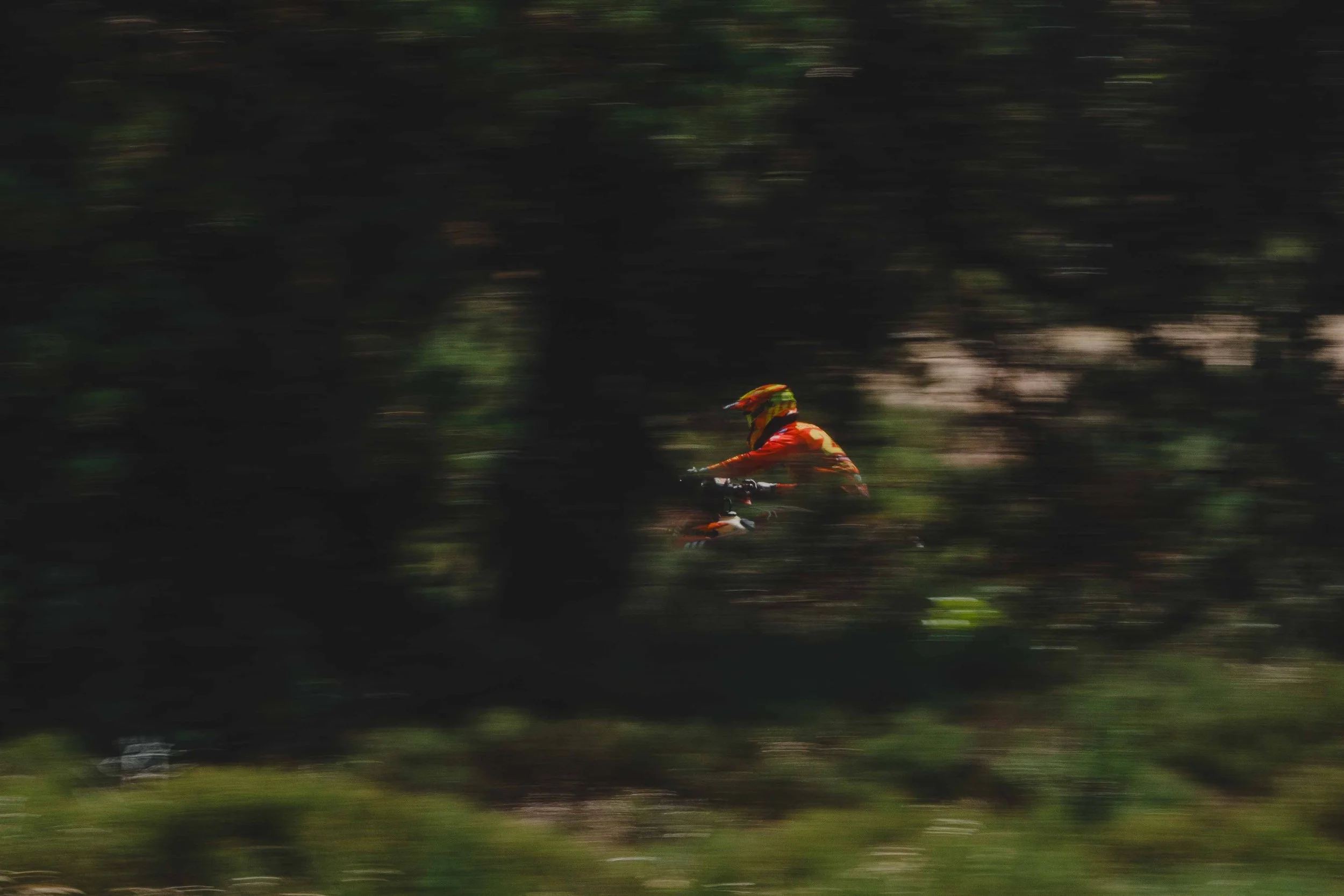 RodrigoUngaro-9129.jpg