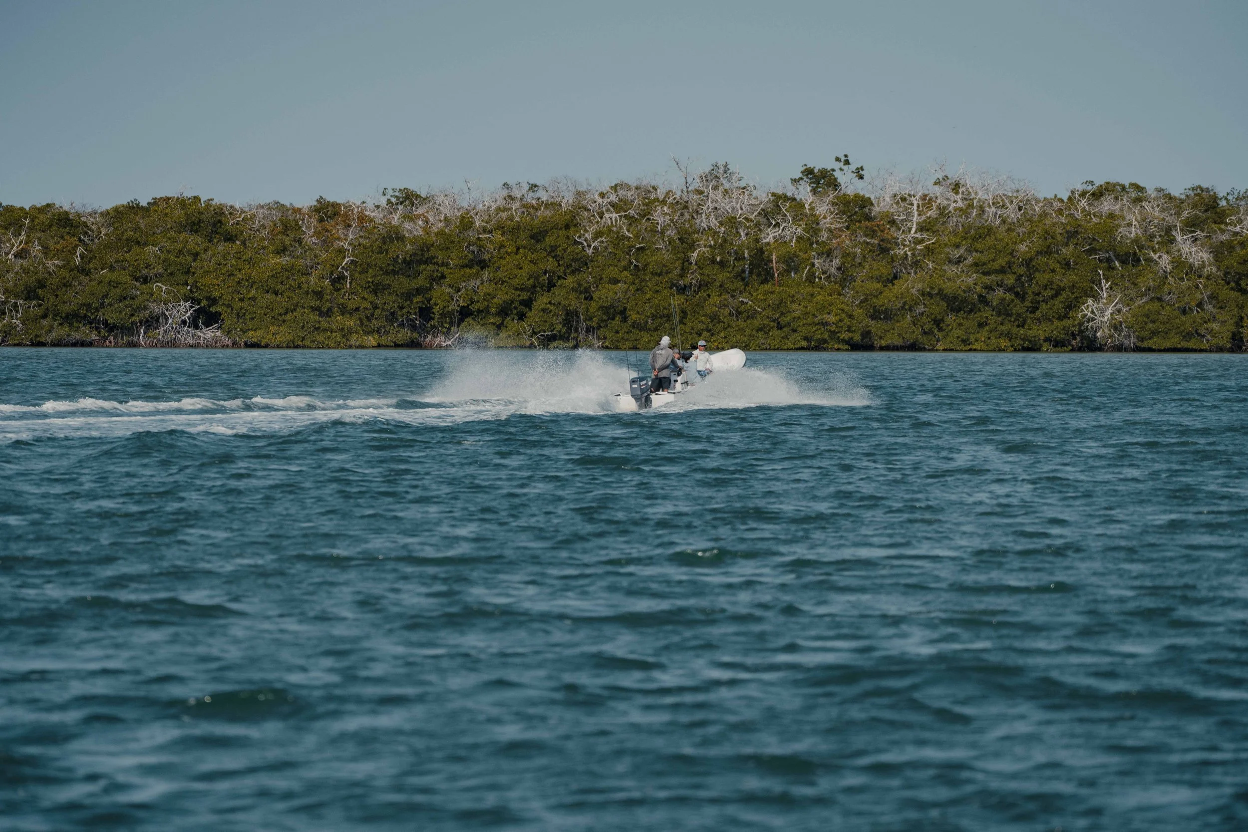 RodrigoUngaro-8567.jpg