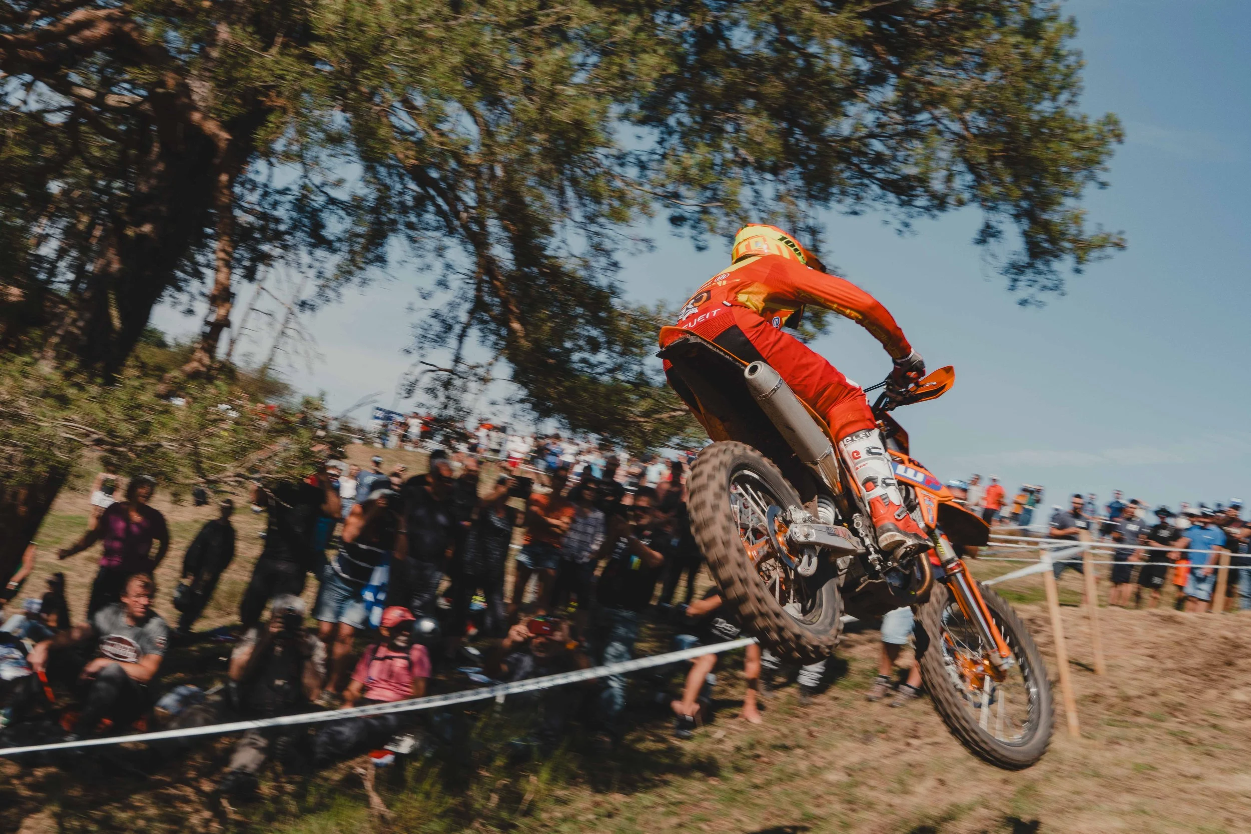 RodrigoUngaro-7590.jpg