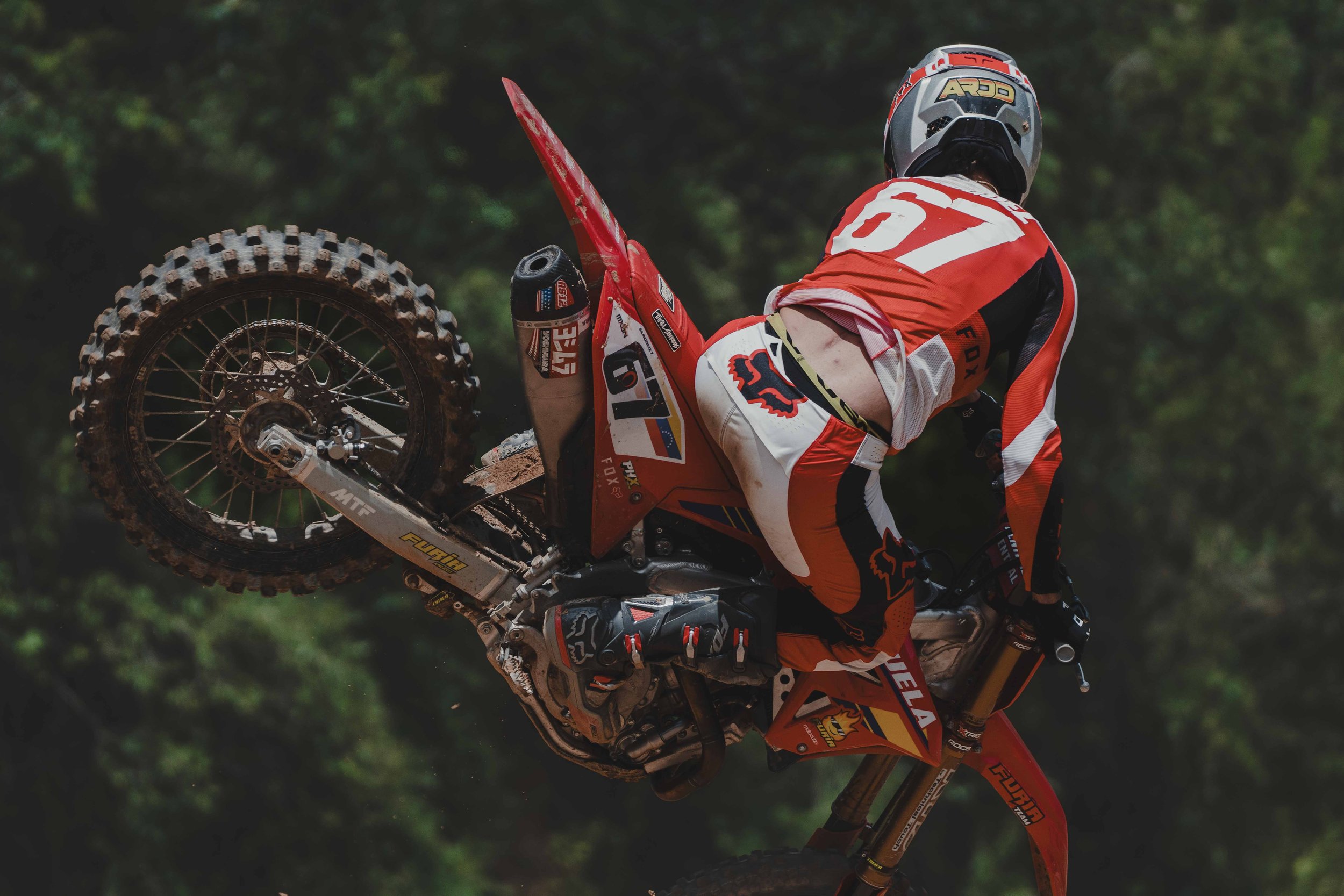 RodrigoUngaro-7062.jpg