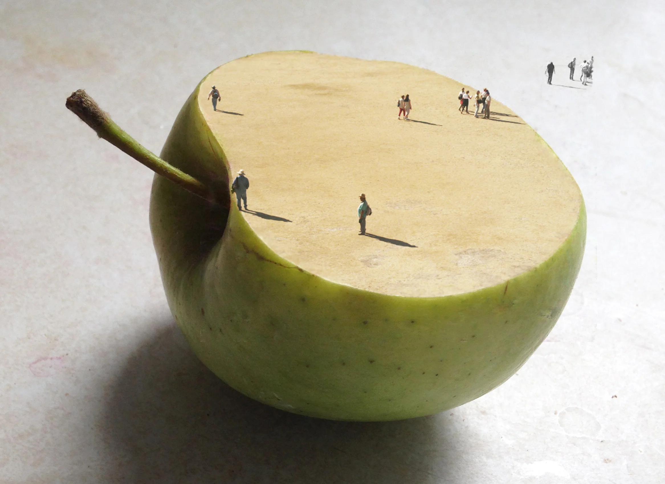 apple people_edited-1.jpg