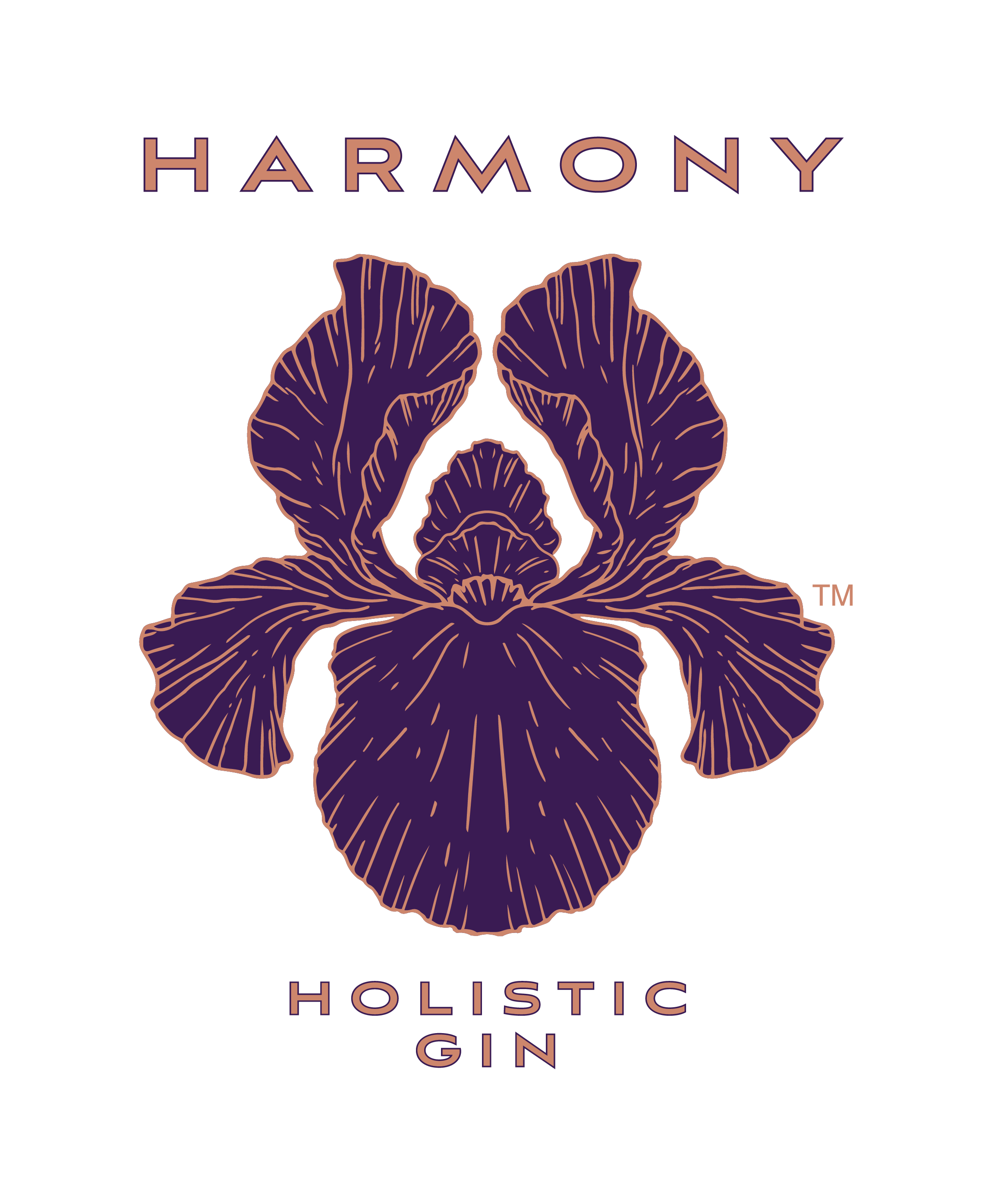 HARMONY_GIN_LOGOTYPE_CMYK (3) (2) (1) (1).png