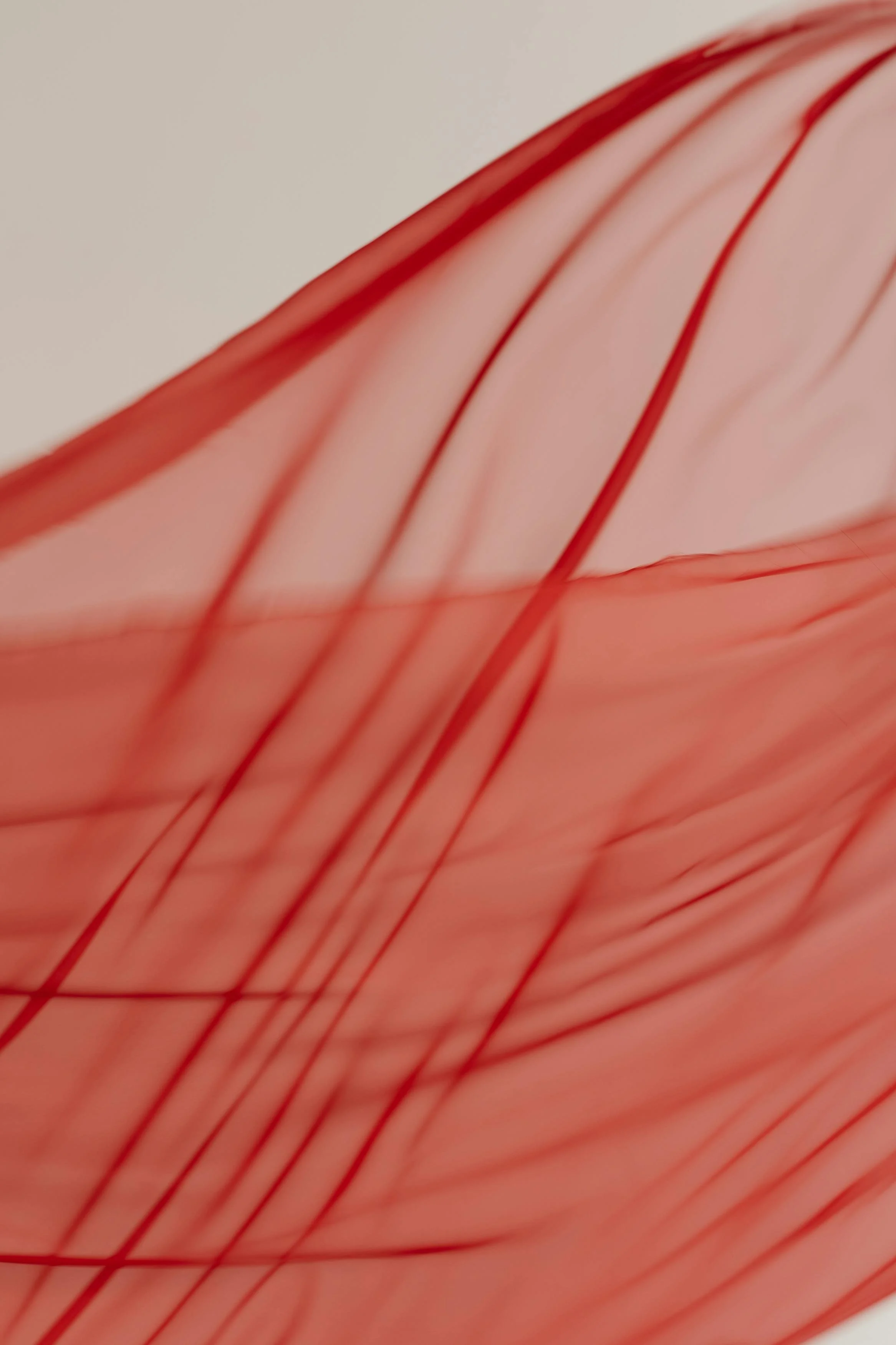 The Return of a Sexual Vitality that Deeply Nourishes (and some fave herbs that support!)