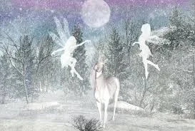 Winter Nature Magic : Mini Fairy Camp - Canmore