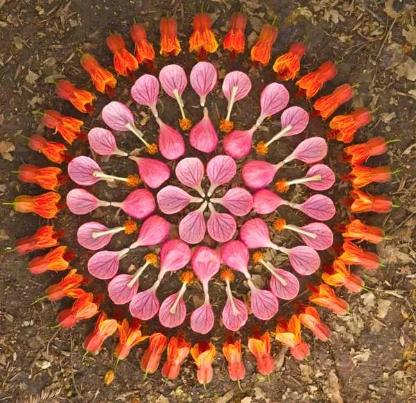 Breathe, Play, Love: A Mindfulness & Empowerment Weekend for Mothers in Transition