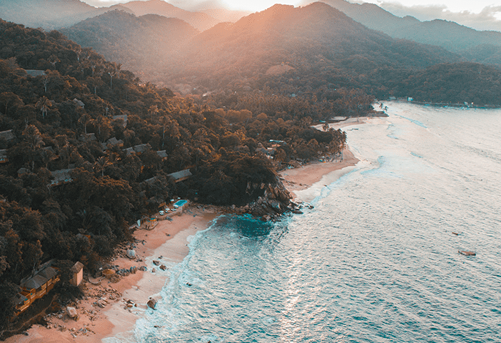 Screen Shot 2019-03-19 at 9.47.45 AM.png