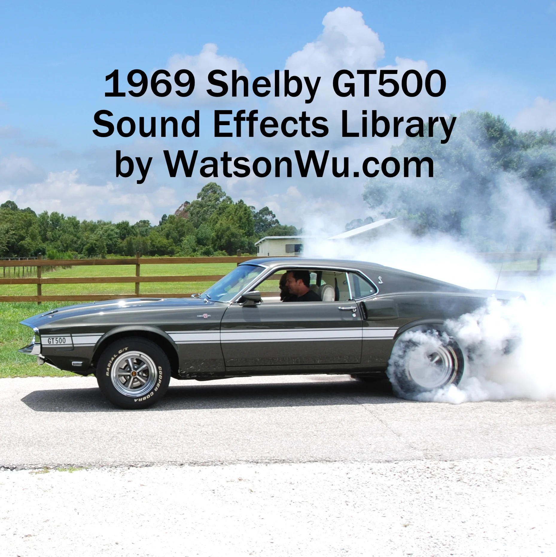 DSC_0420_69GT500Shelby_burnout_WatsonWu Square Text.JPG