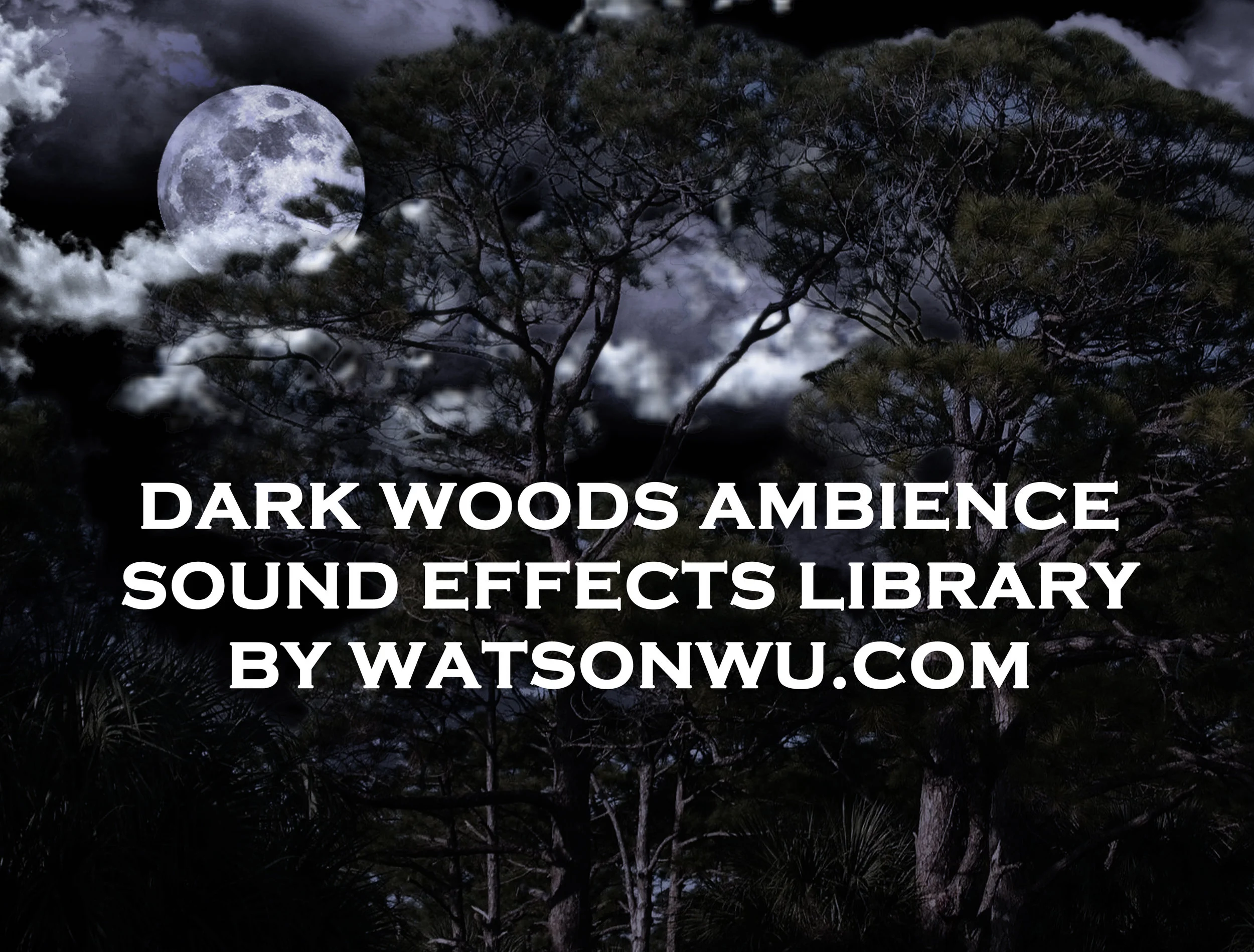 New Night Ambience library