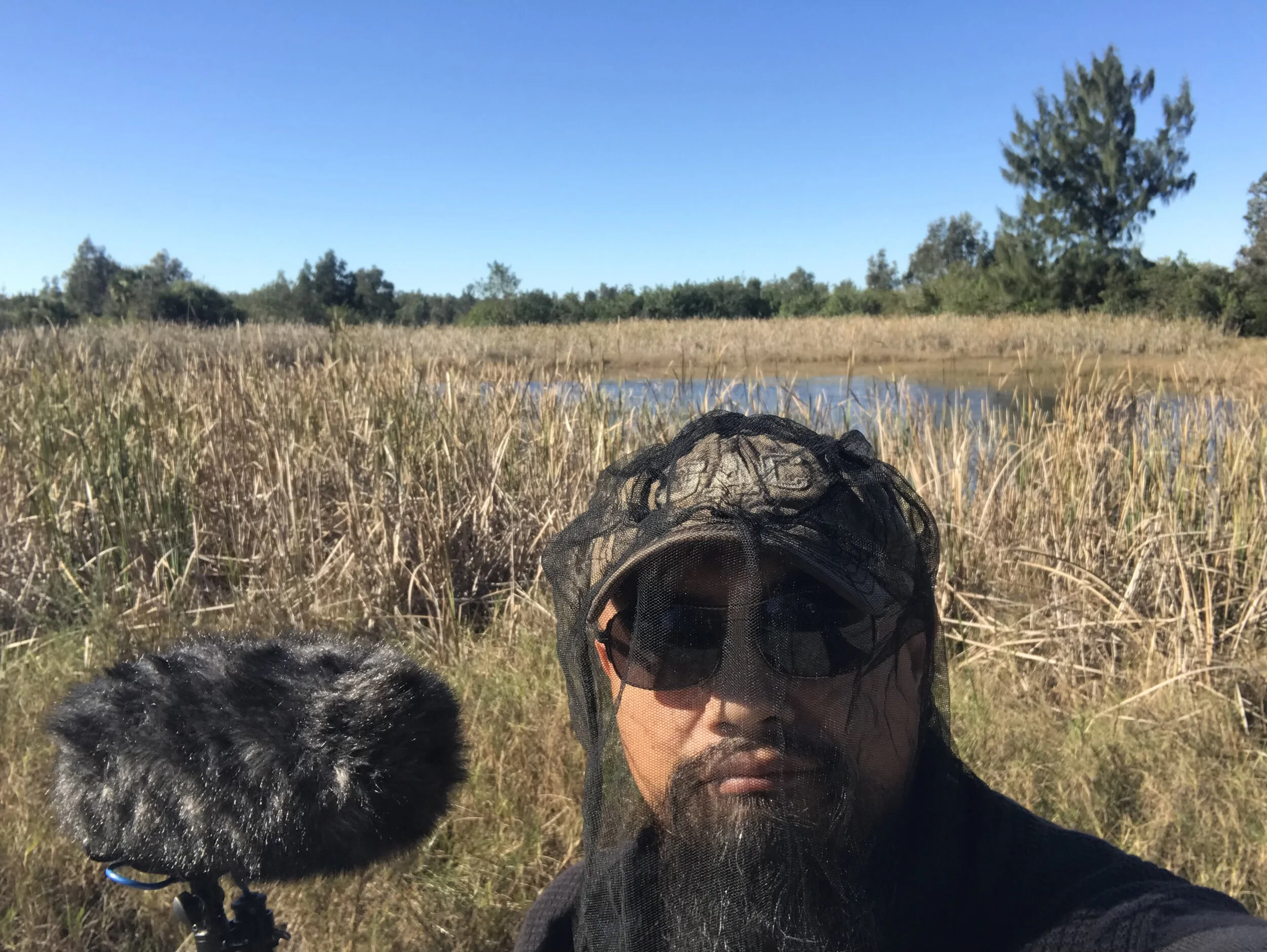 Swamp 0284 Watson Wu.jpg
