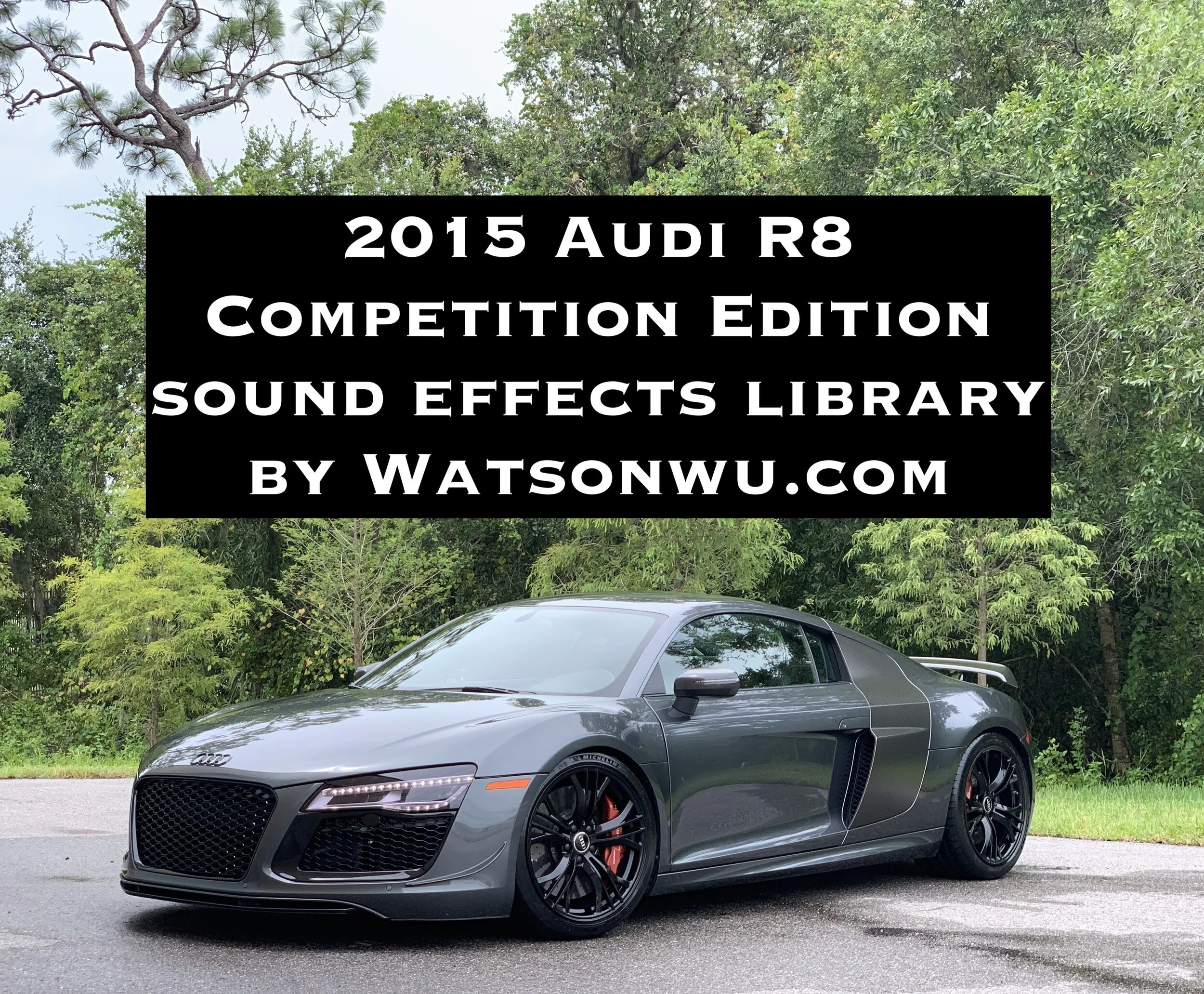 Audi R8 2015 Competition Edition - IMG_3365 text 2.jpeg
