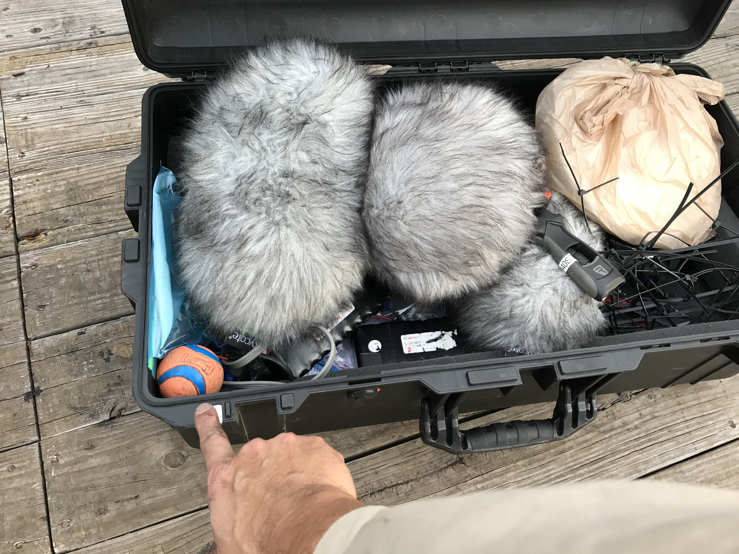 IMG_0088 Pelican case with ball.jpg