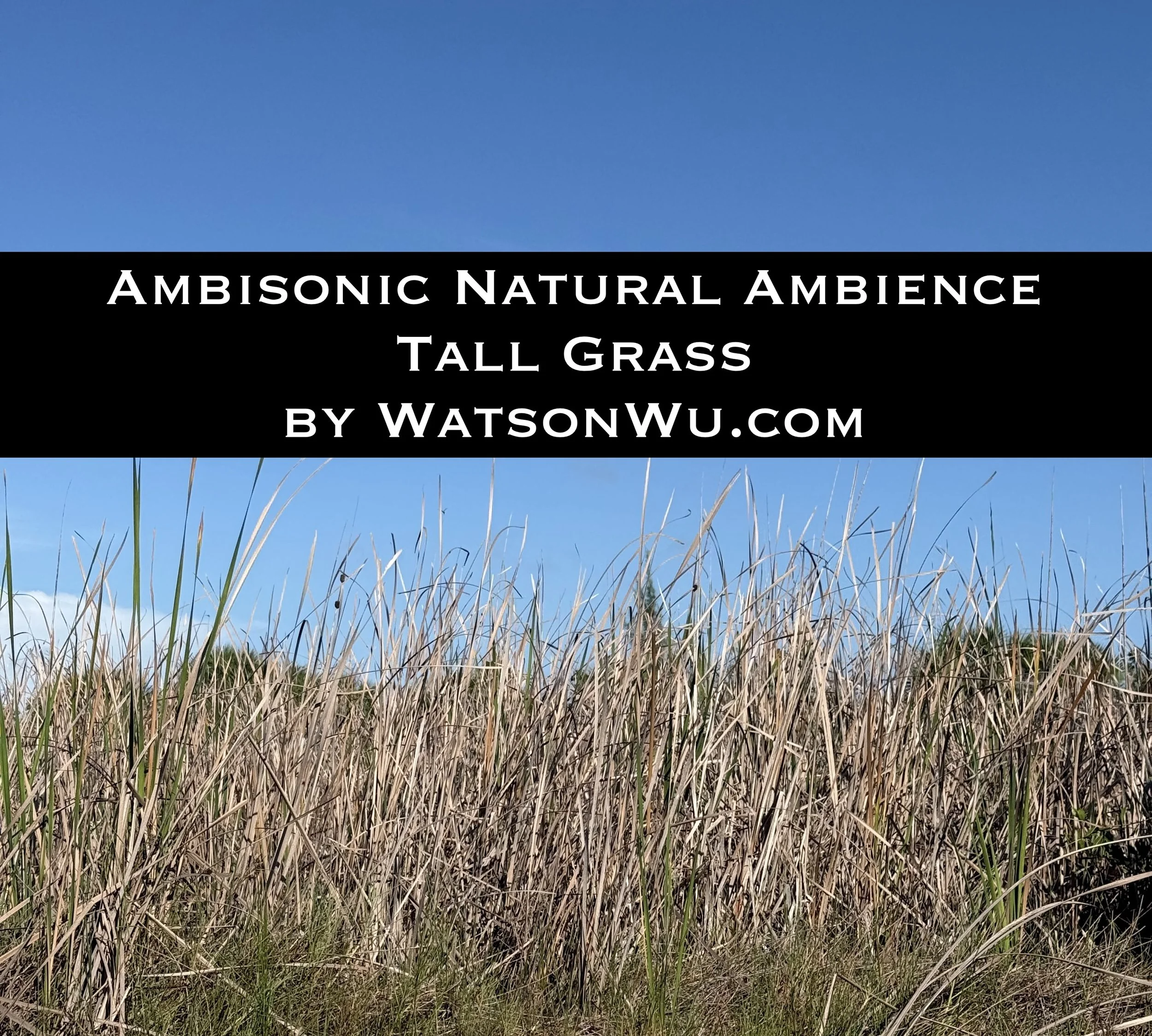 _Ambisonic Natural Ambience - Tall Grass - WatsonWu.com.jpg