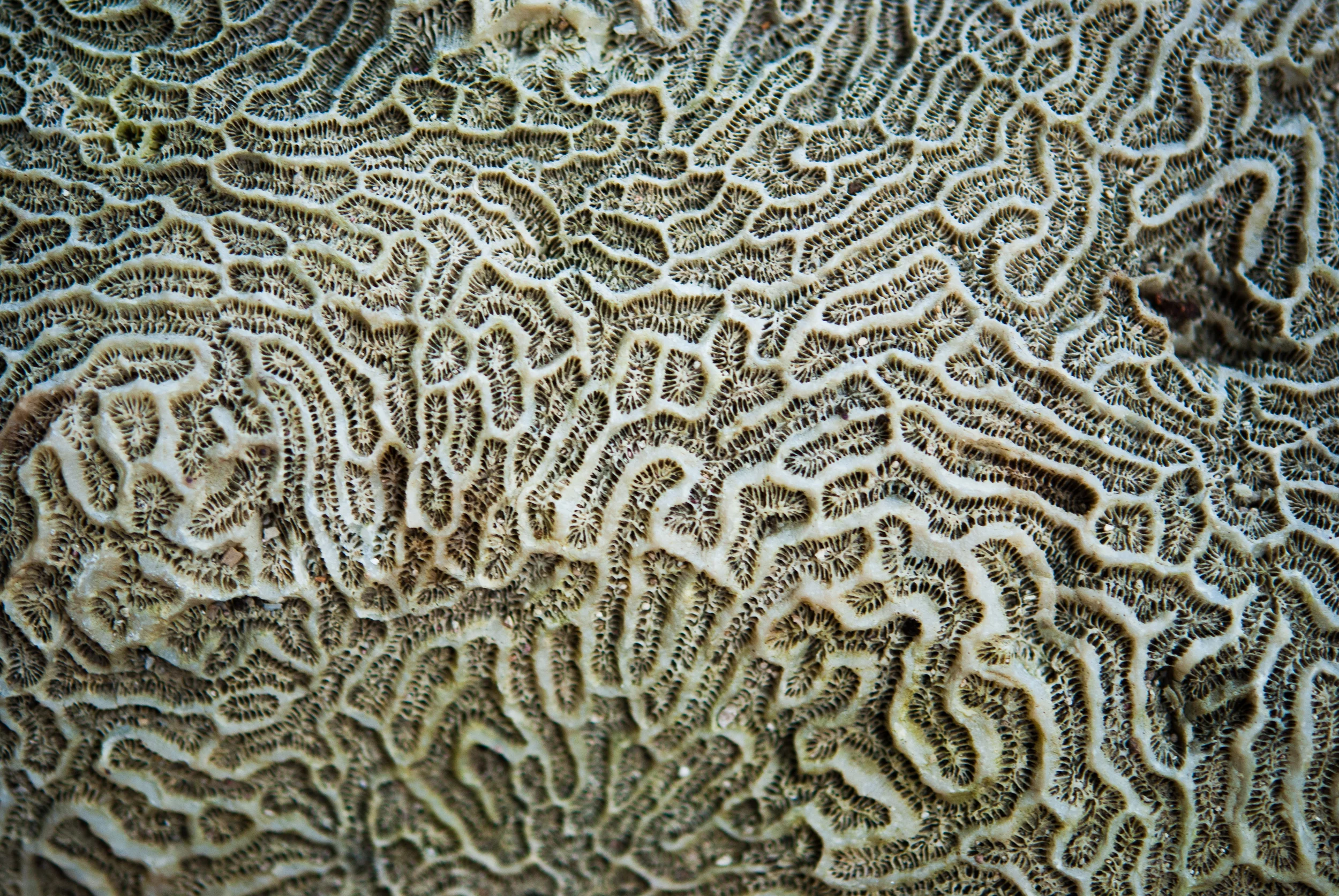 DSC_0690.jpg