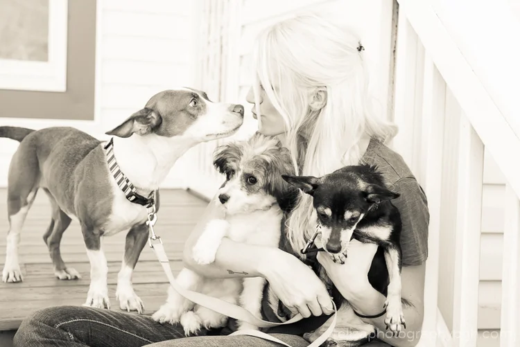 Second Chance Sato : Dog Rescue 