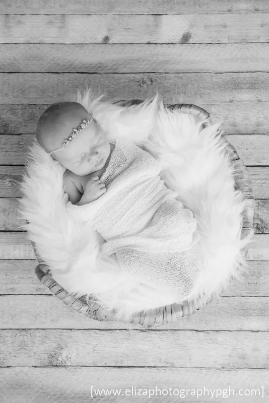copyright_www.elizaphotographypgh.com (3 of 36).jpg
