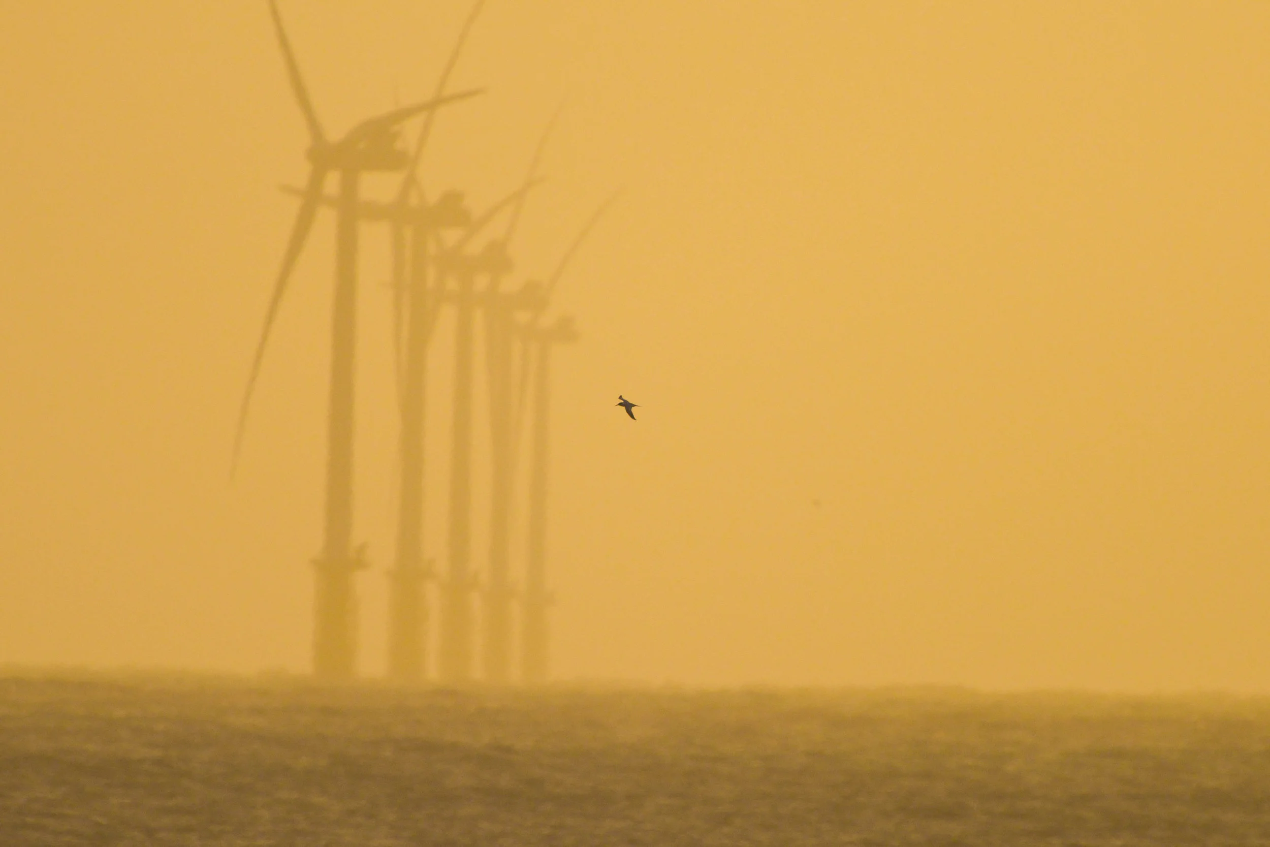 Windmills