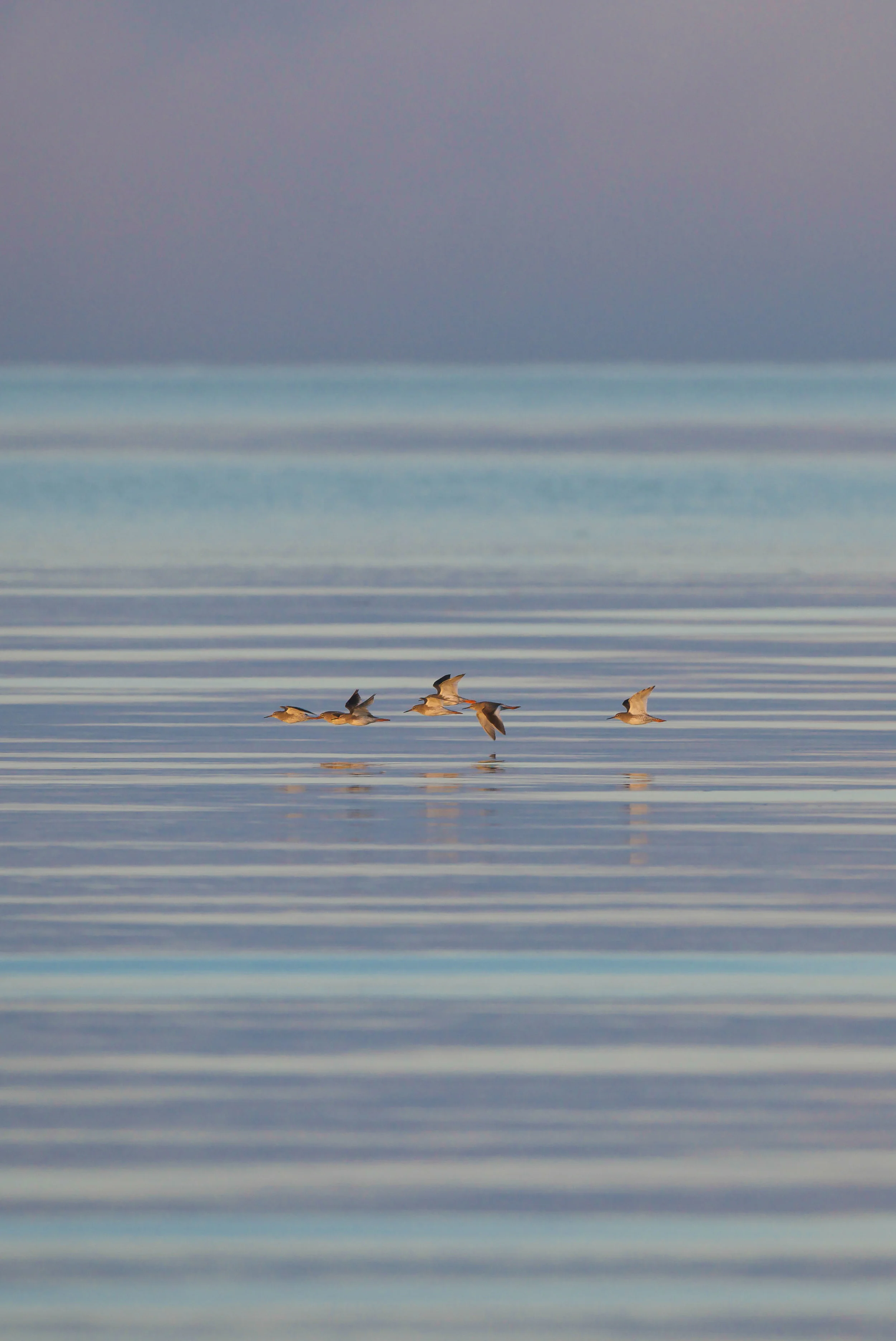 spurn (44 of 82).jpg