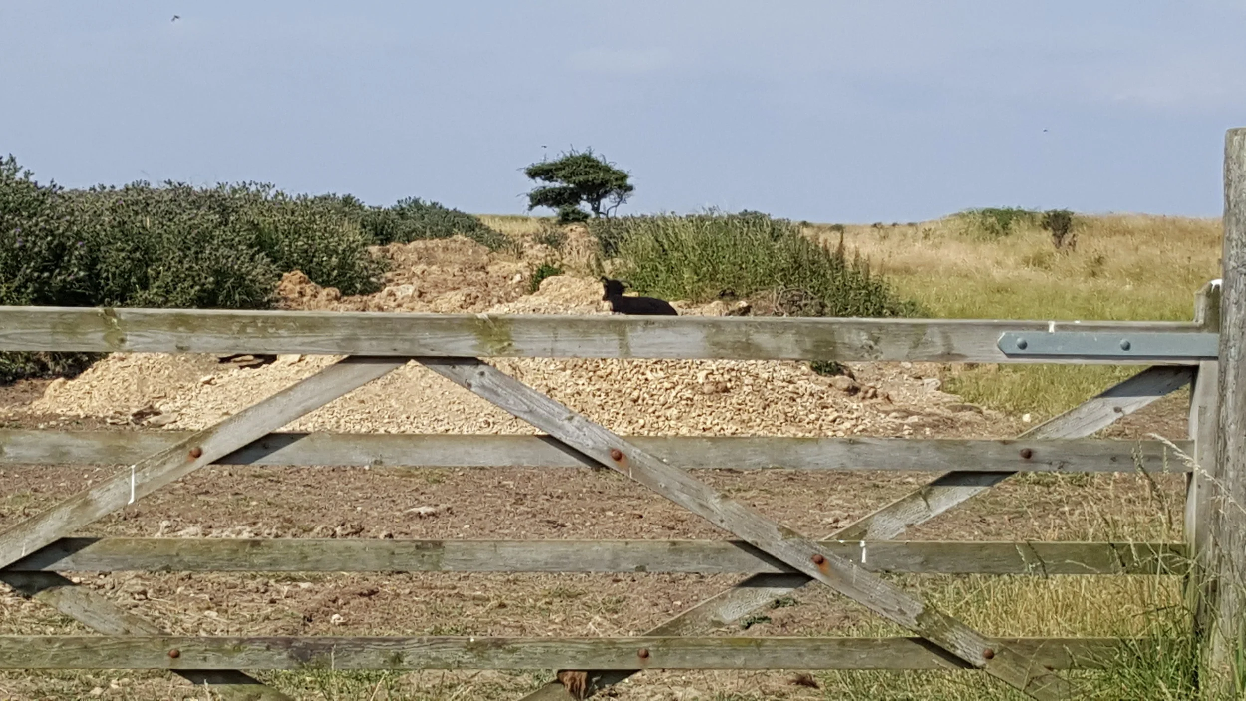 Builders rubble still in Well Field