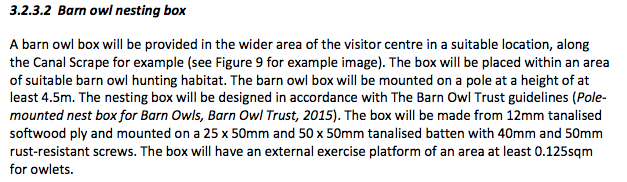 Barn Owl.png