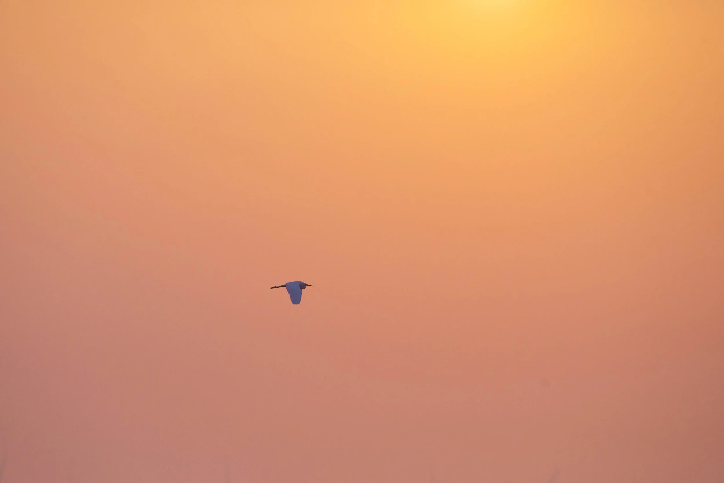 untitled (110 of 112).jpg