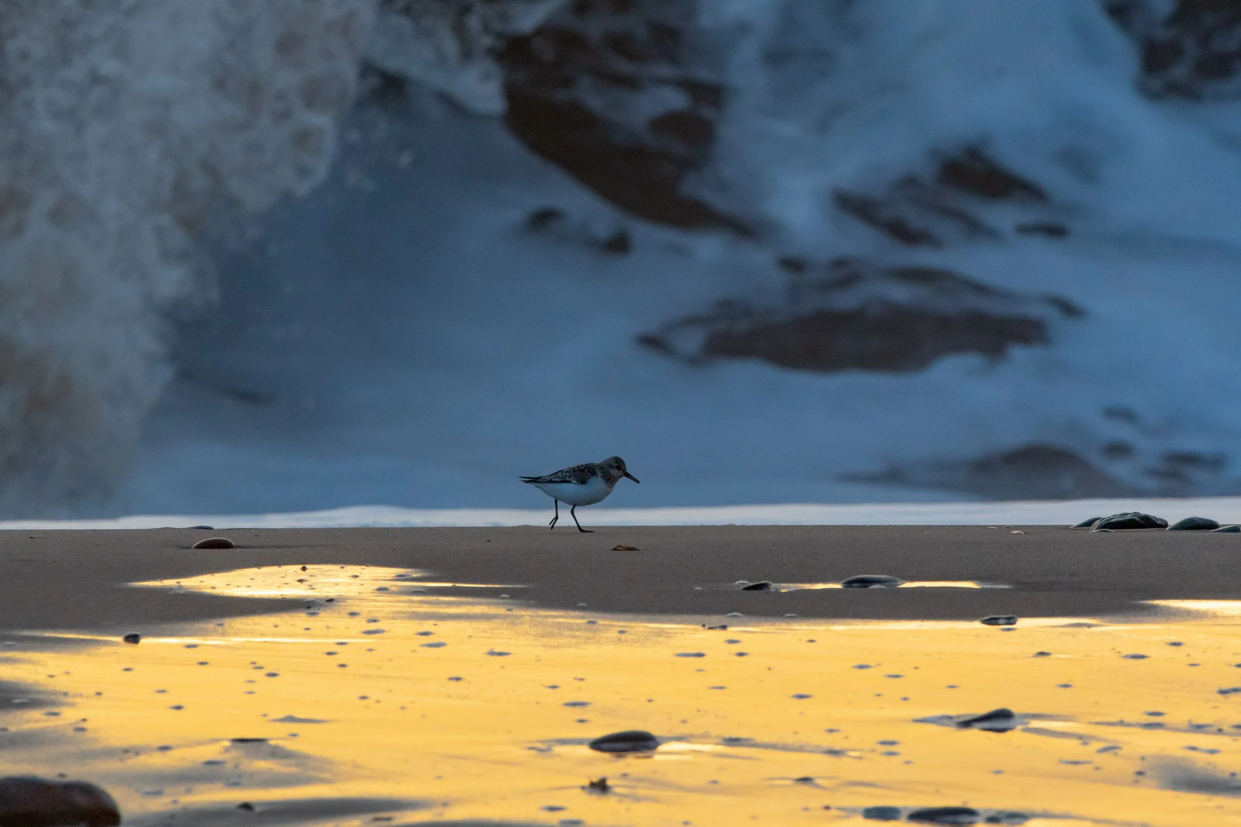 untitled-144.jpg