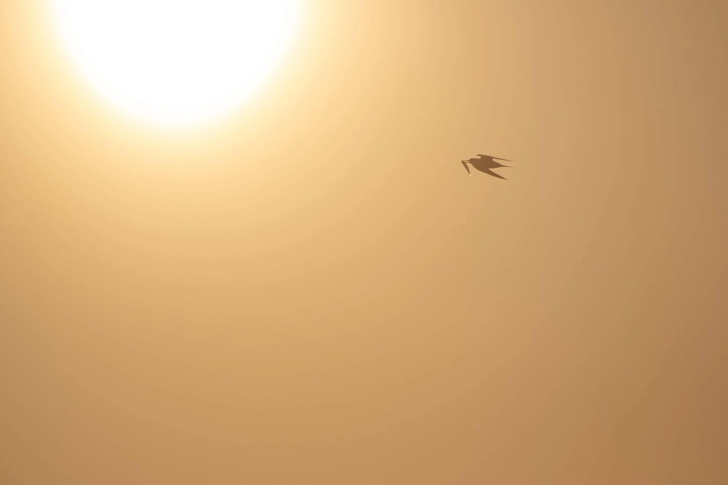 untitled-151.jpg