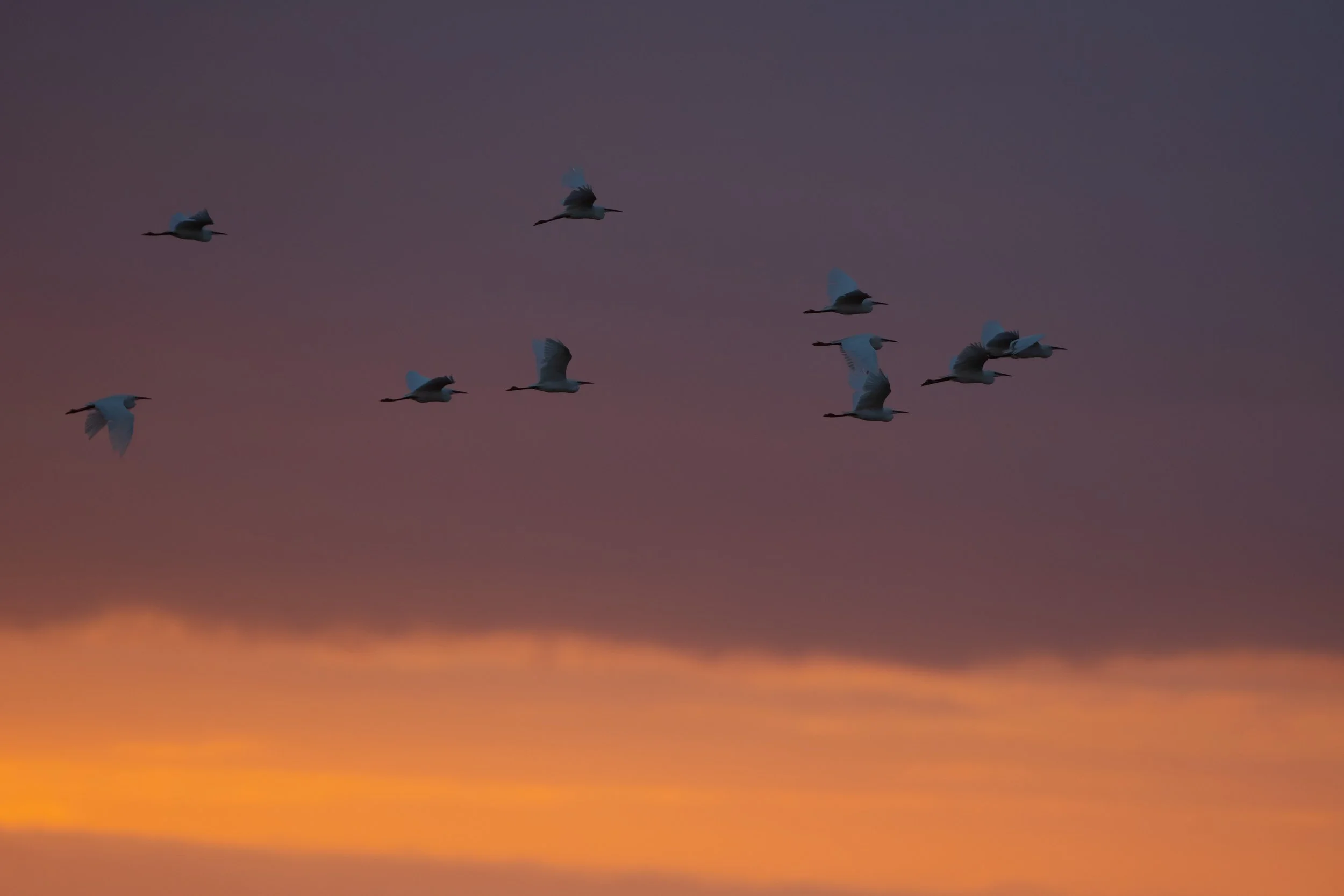 untitled-206.jpg
