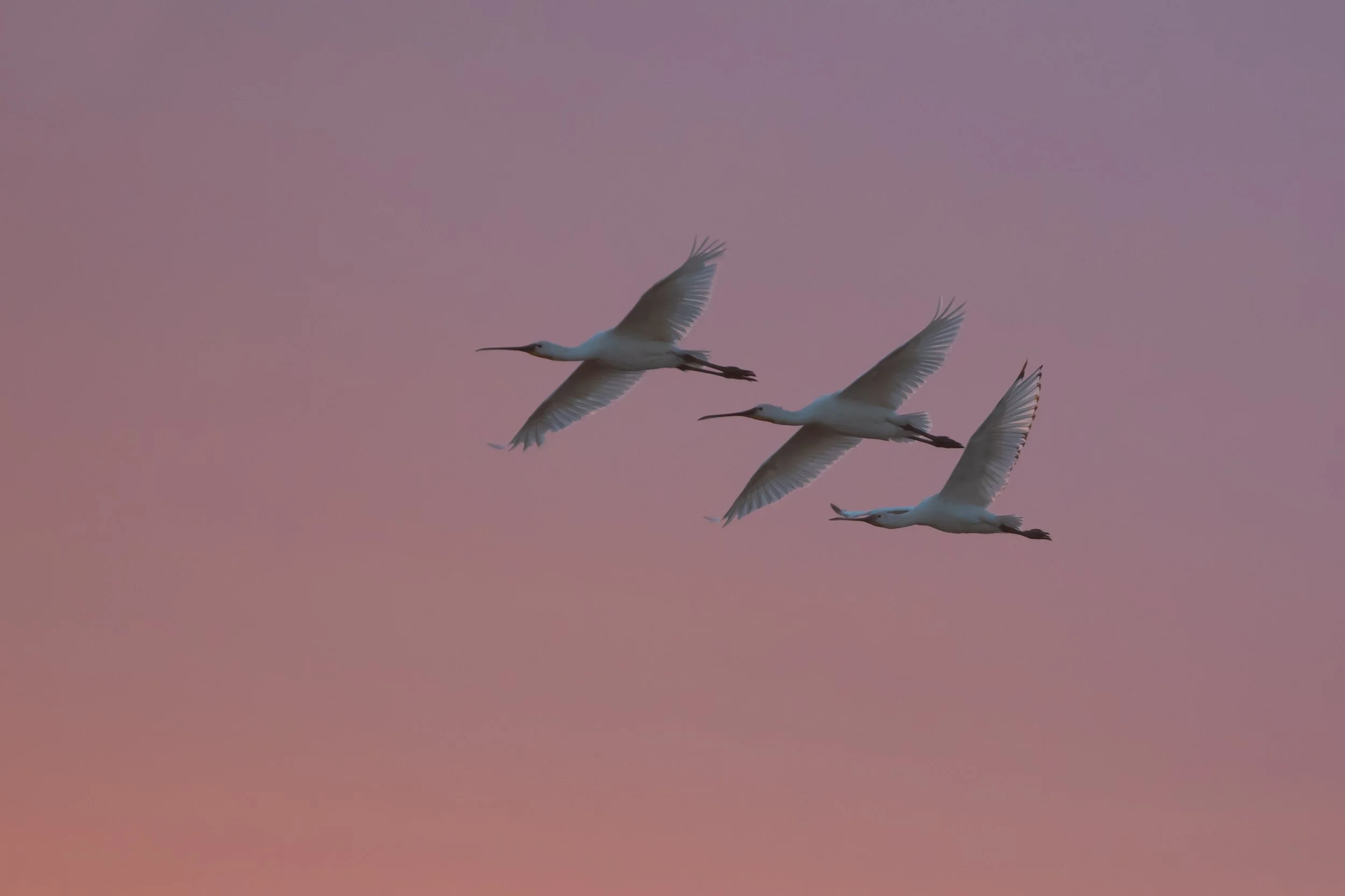 untitled-209.jpg
