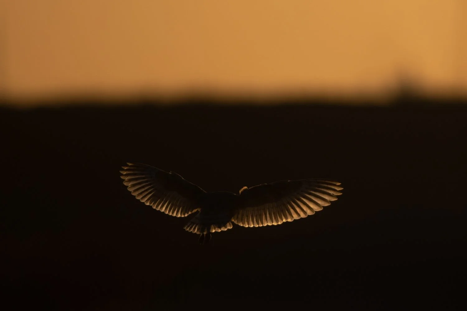 untitled-40.jpg