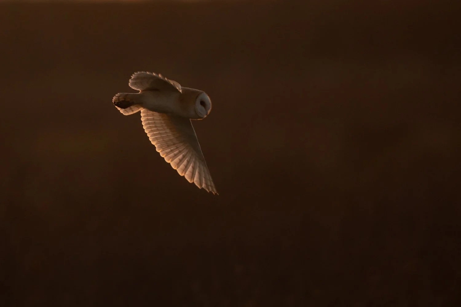untitled-49.jpg