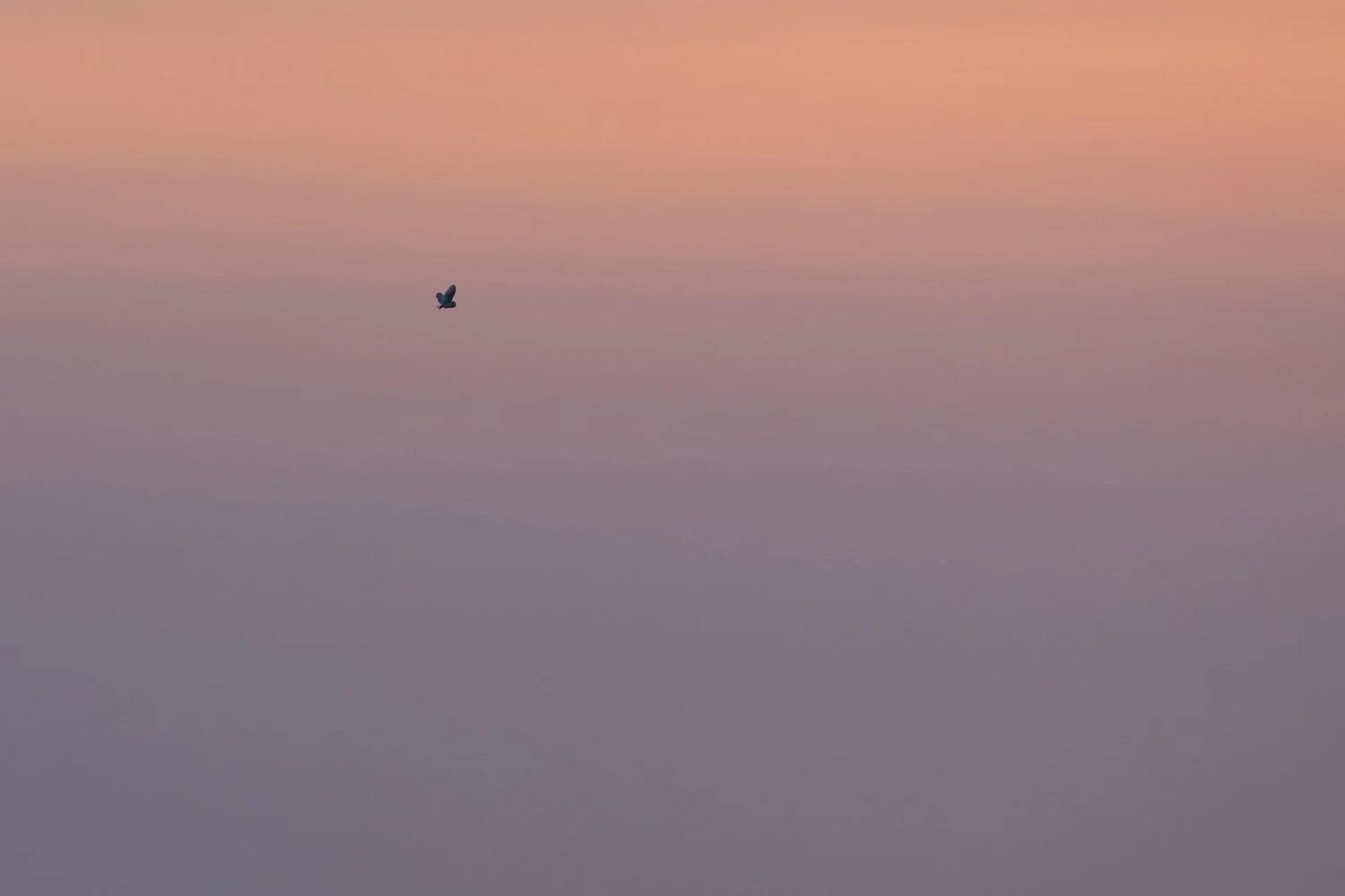 untitled-54.jpg