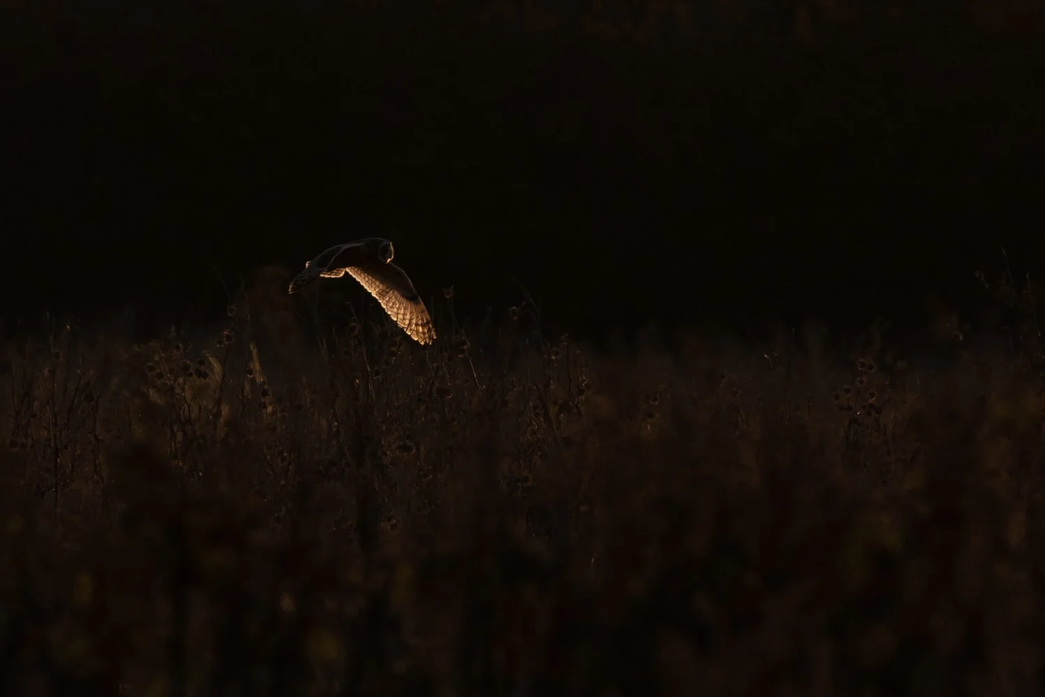 untitled-60.jpg