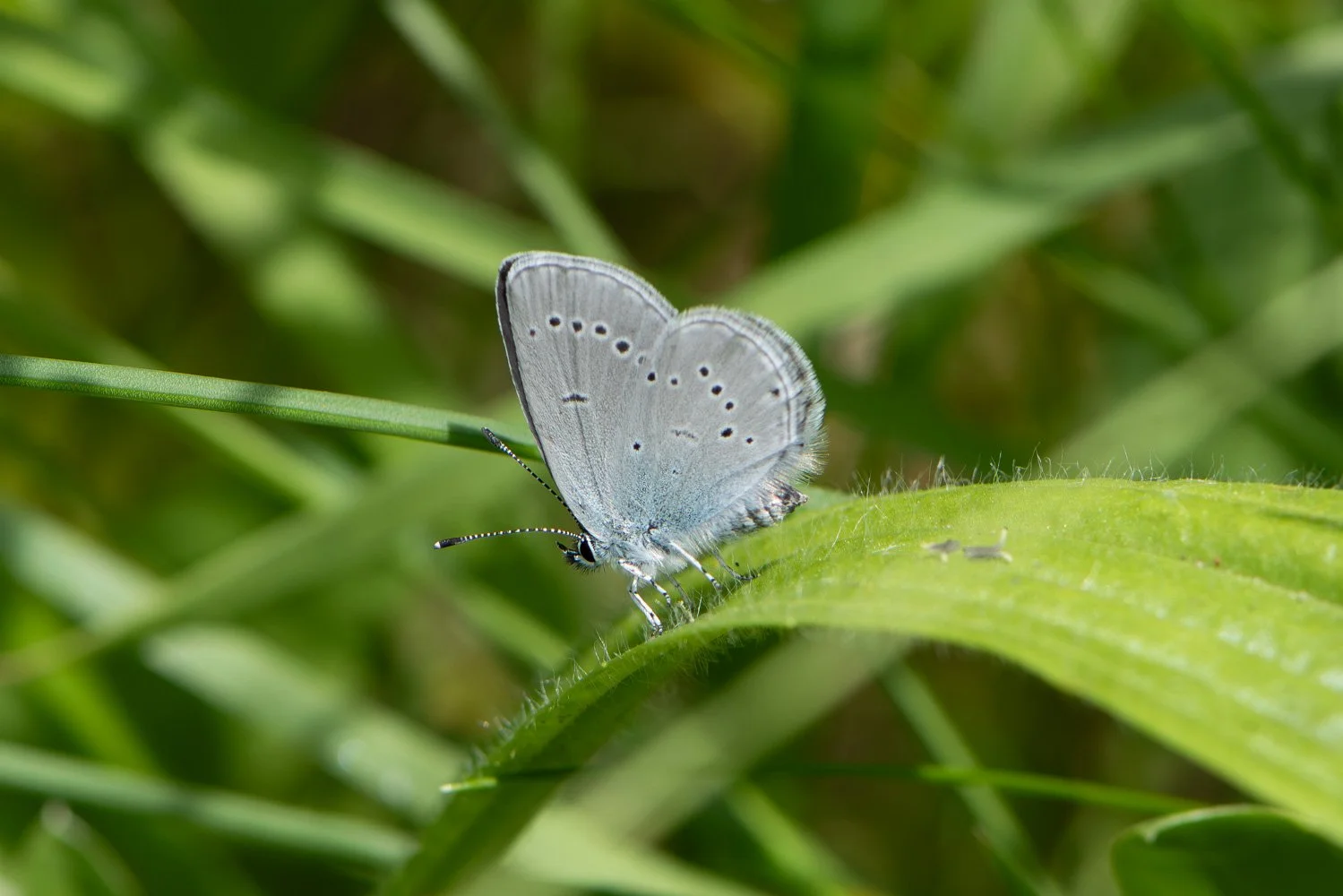 Small-4.jpg
