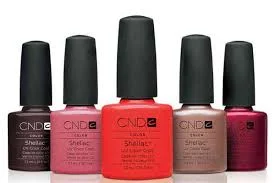 shellac logo.jpg