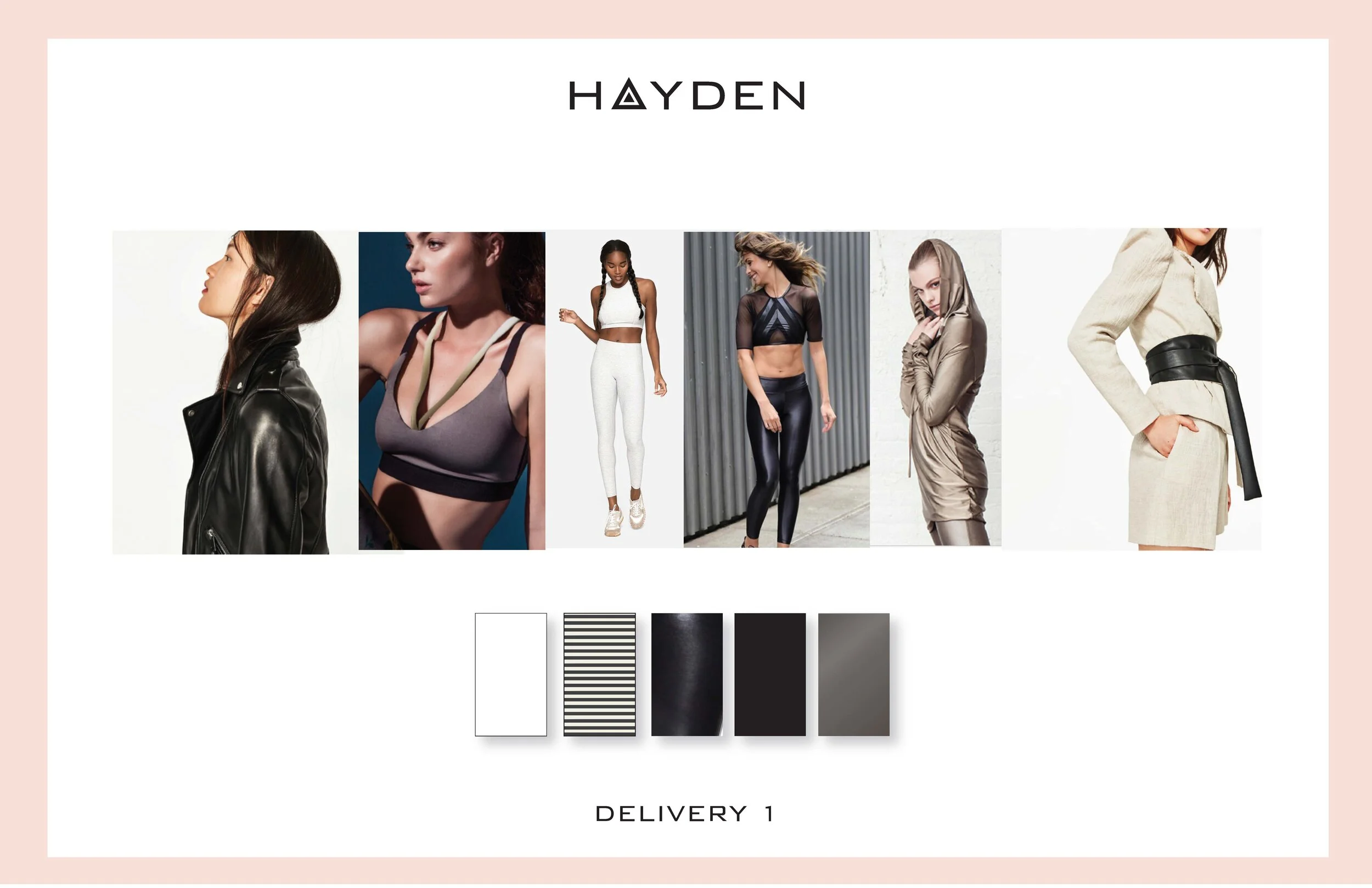 HAYDEN_VLP-DEL-1_11by17_Page_1.jpg
