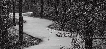 Lenten Midweek Worship and Meals 