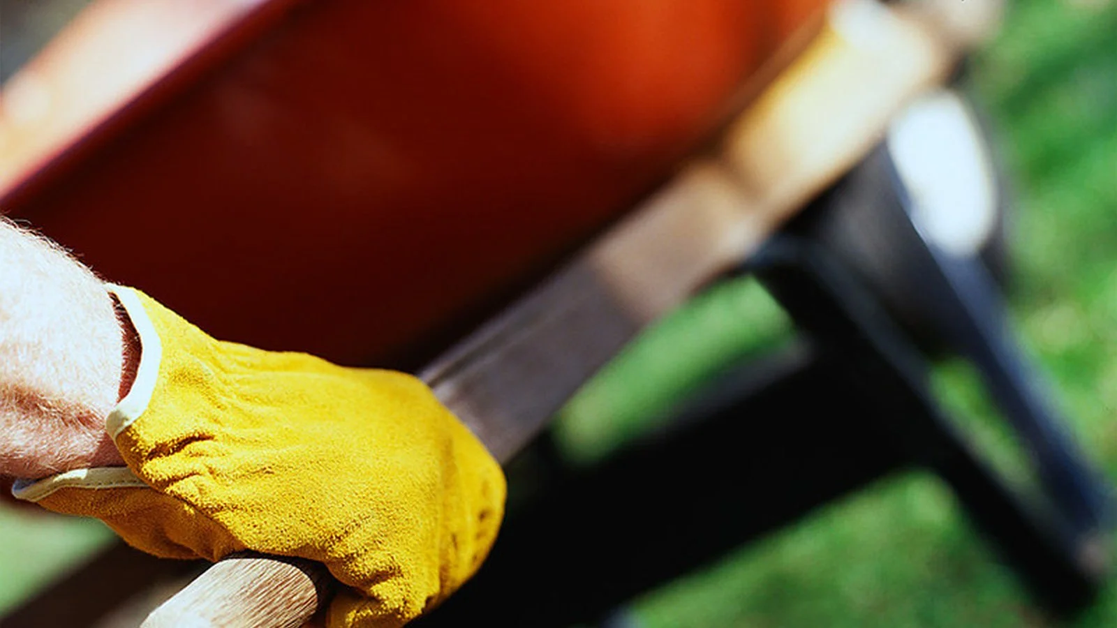 Fall Outdoor Work Day