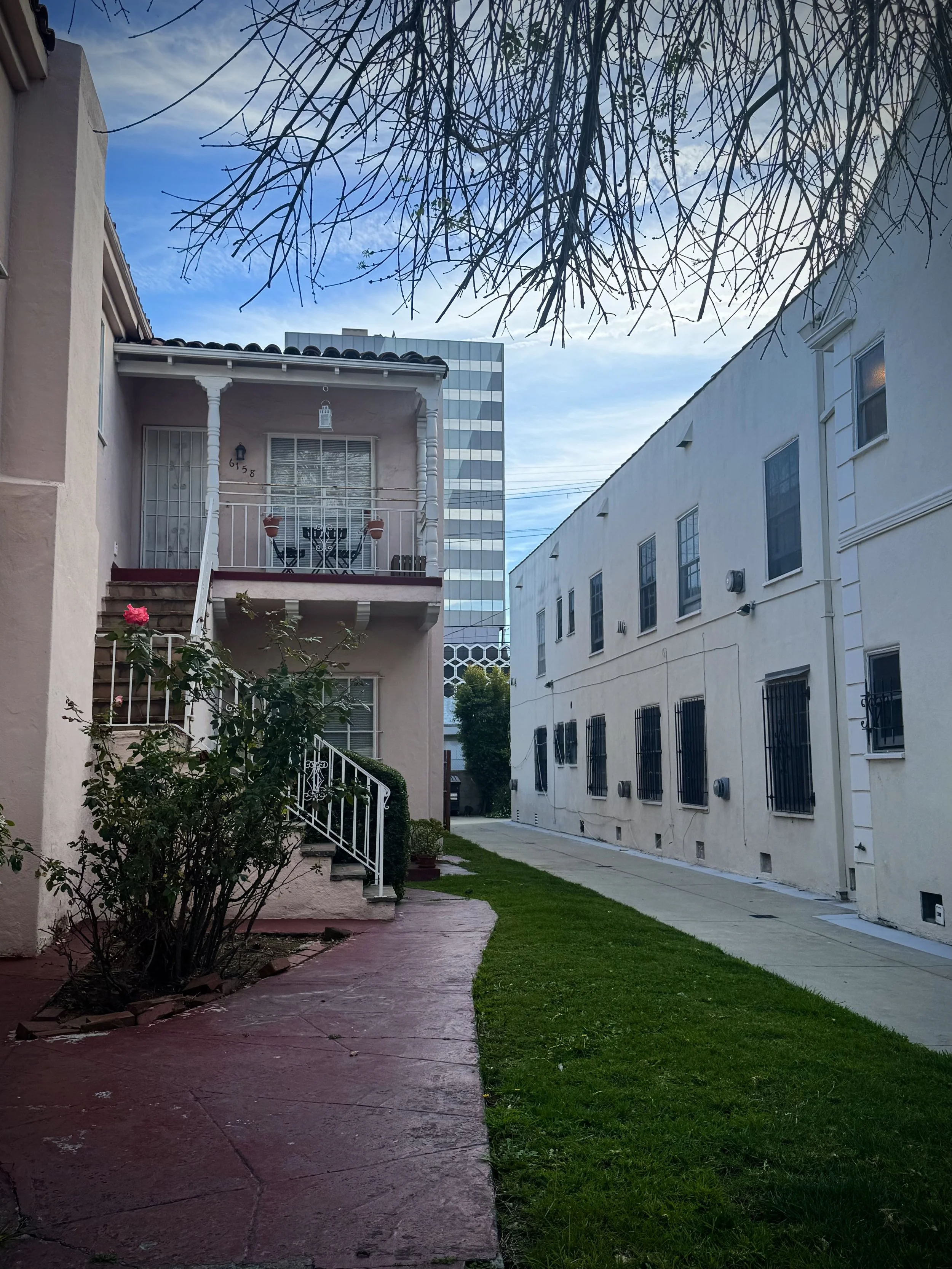 not so winter dreary 