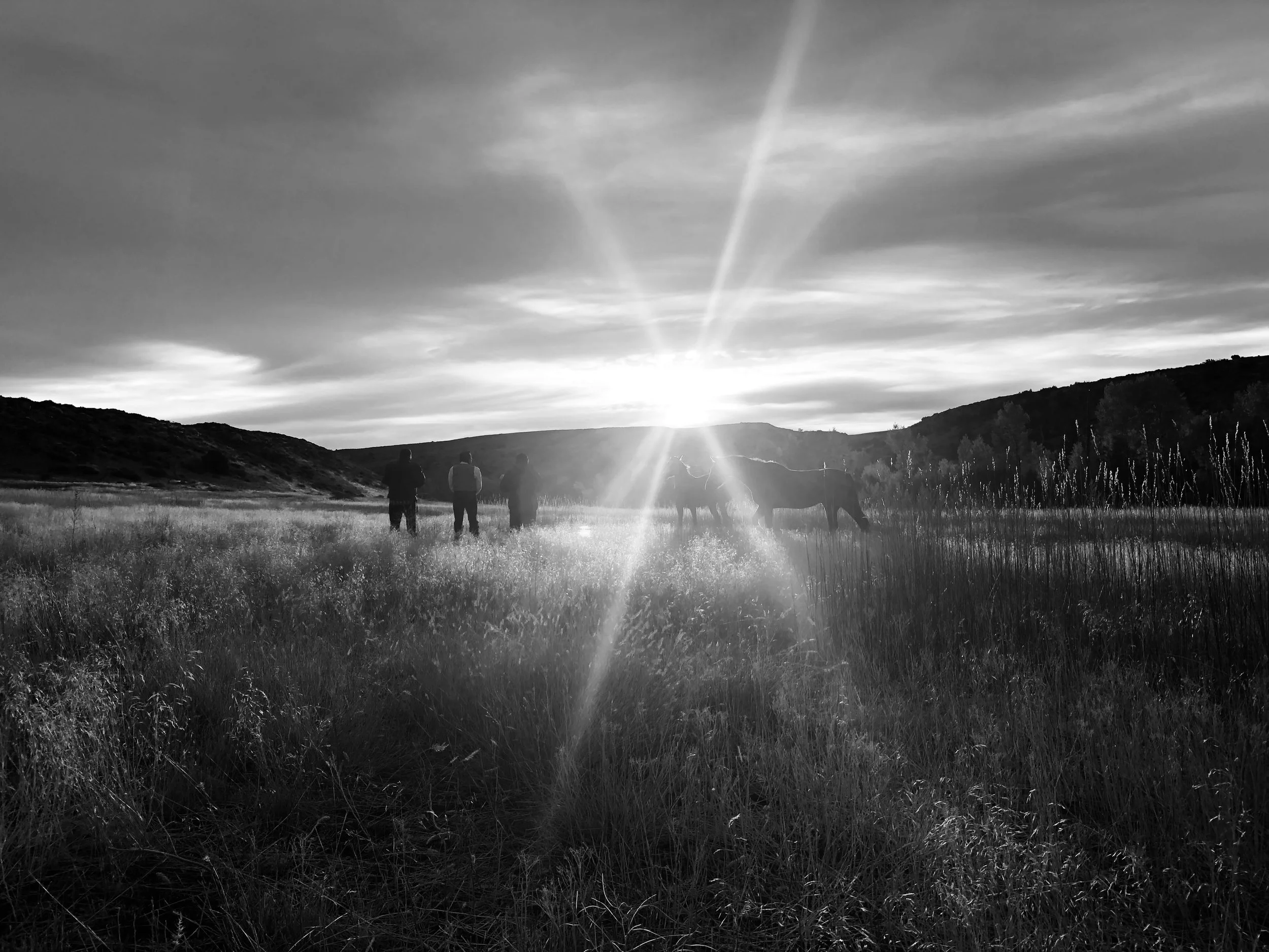 James Trosper & friends greet the dawn with drumming and song, joined by wild horses in "Good Medicine"