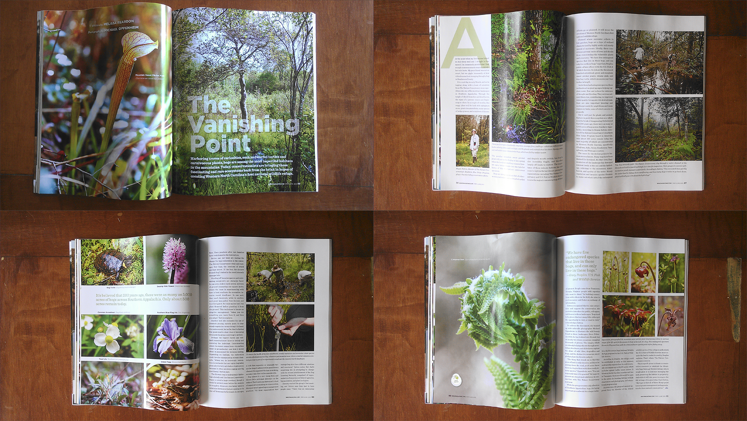 WNC Magazine: The Vanishing Point