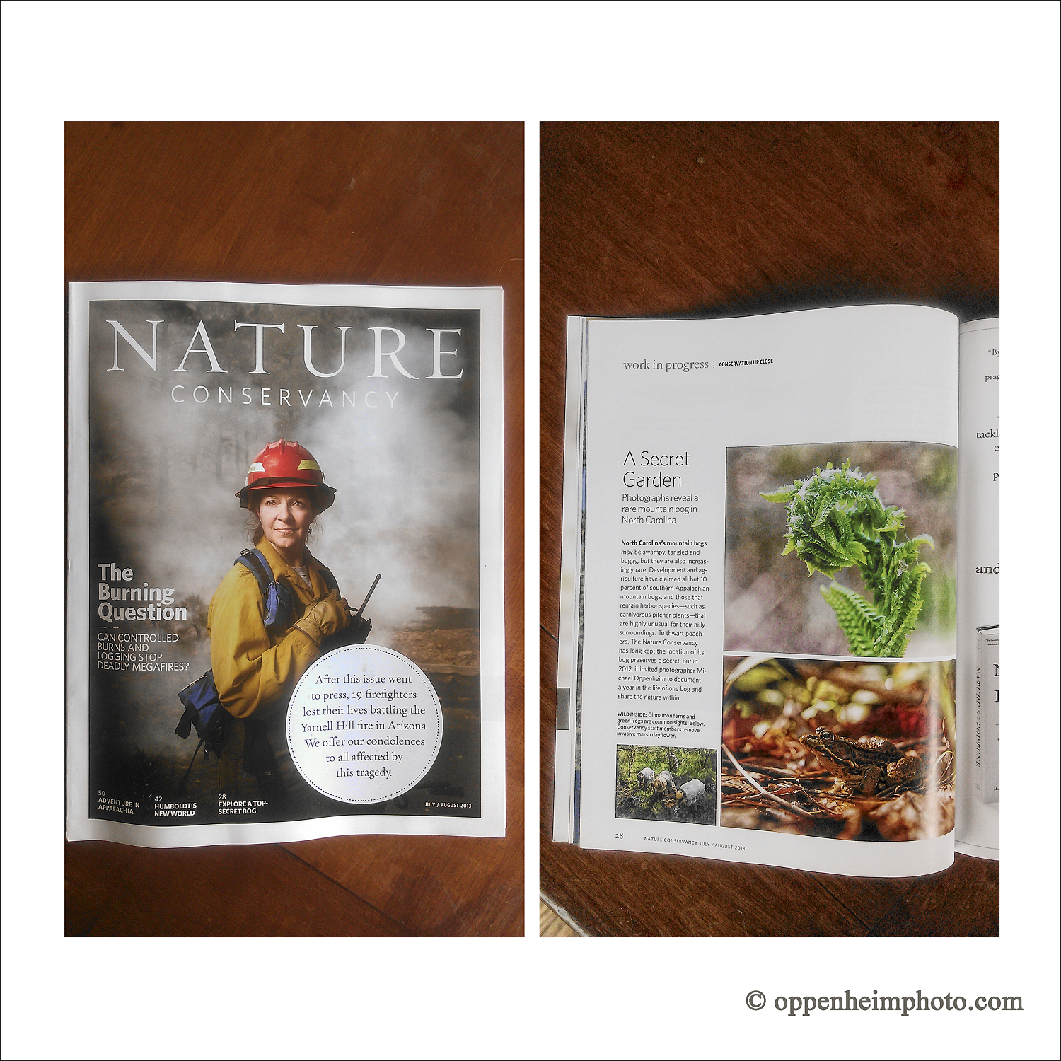 Nature Conservancy Magazine