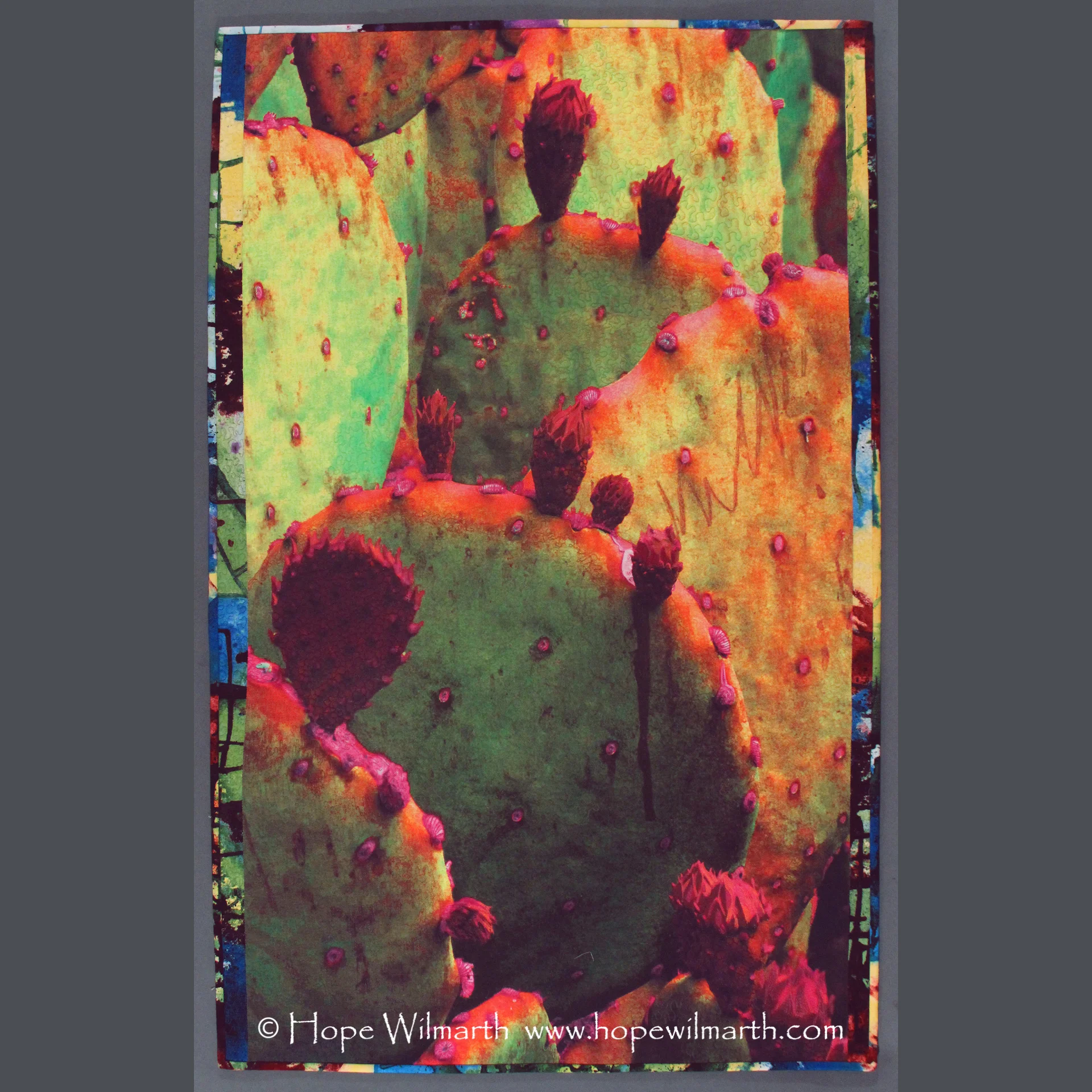 Suculent Sorbet_full (website) square.jpg