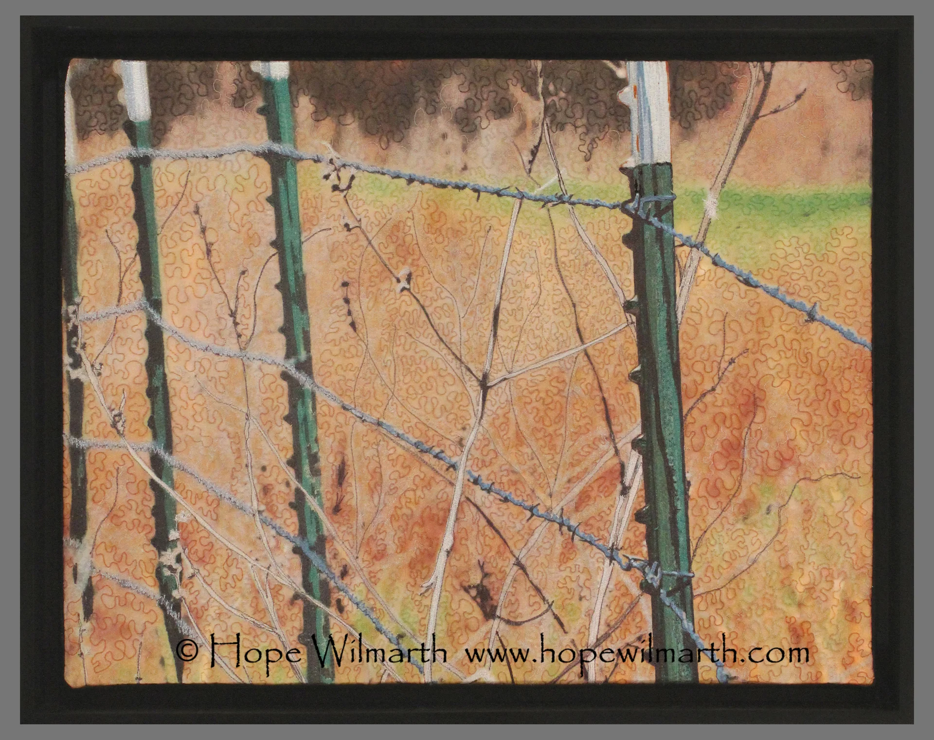 Fence Line