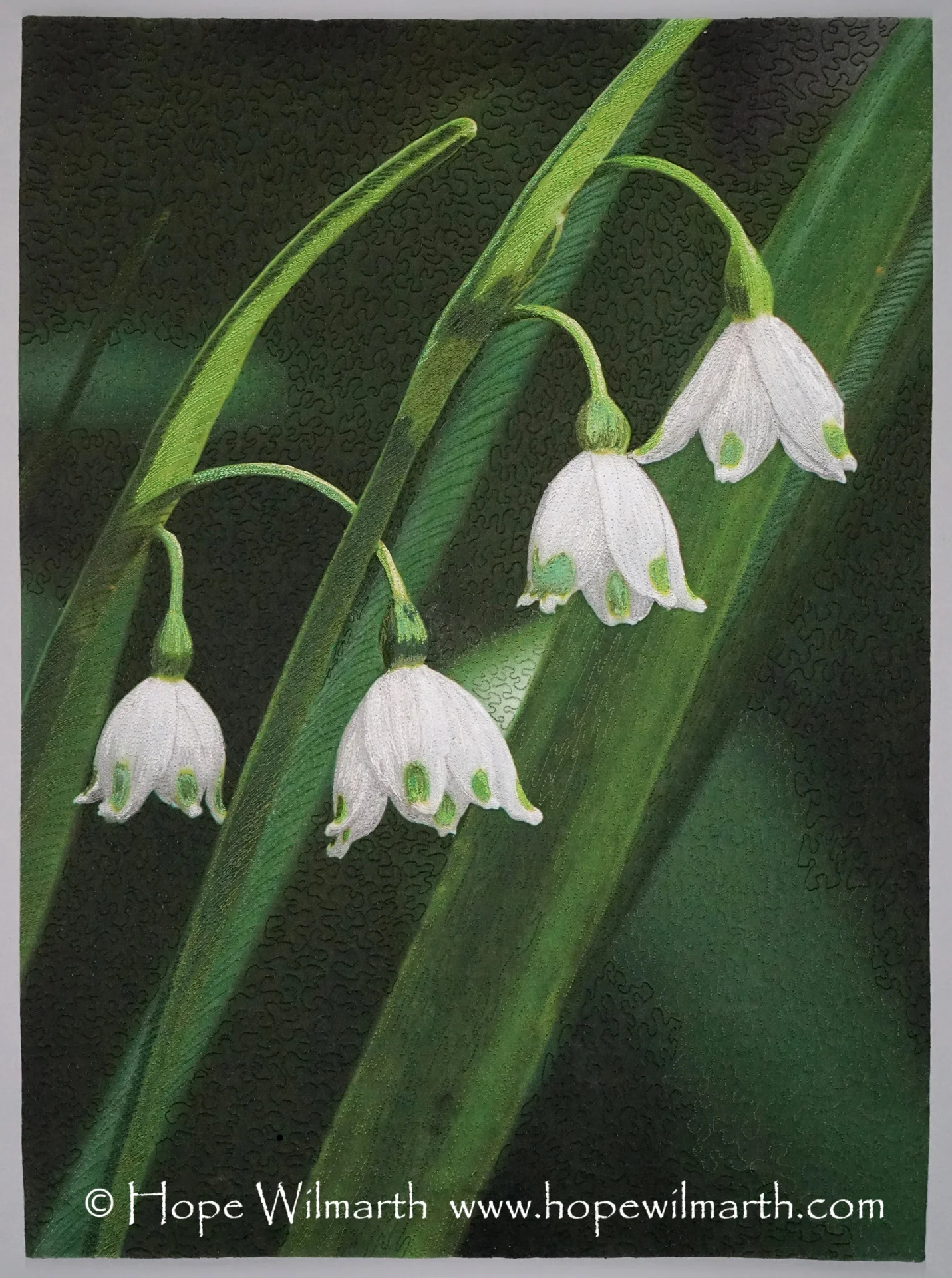 April Showers Bring May Flowers