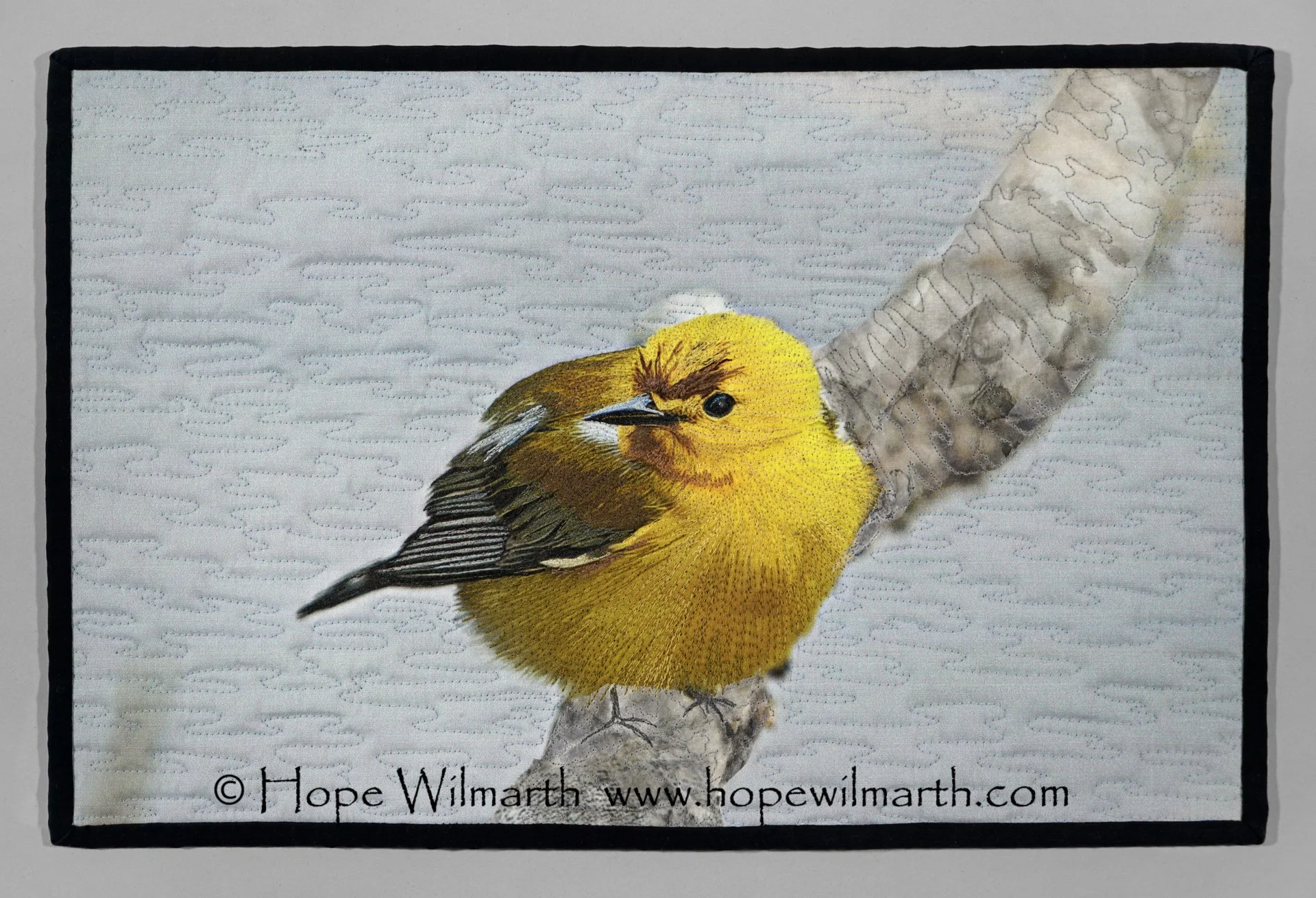 © Hope Wilmarth 17" x 11"