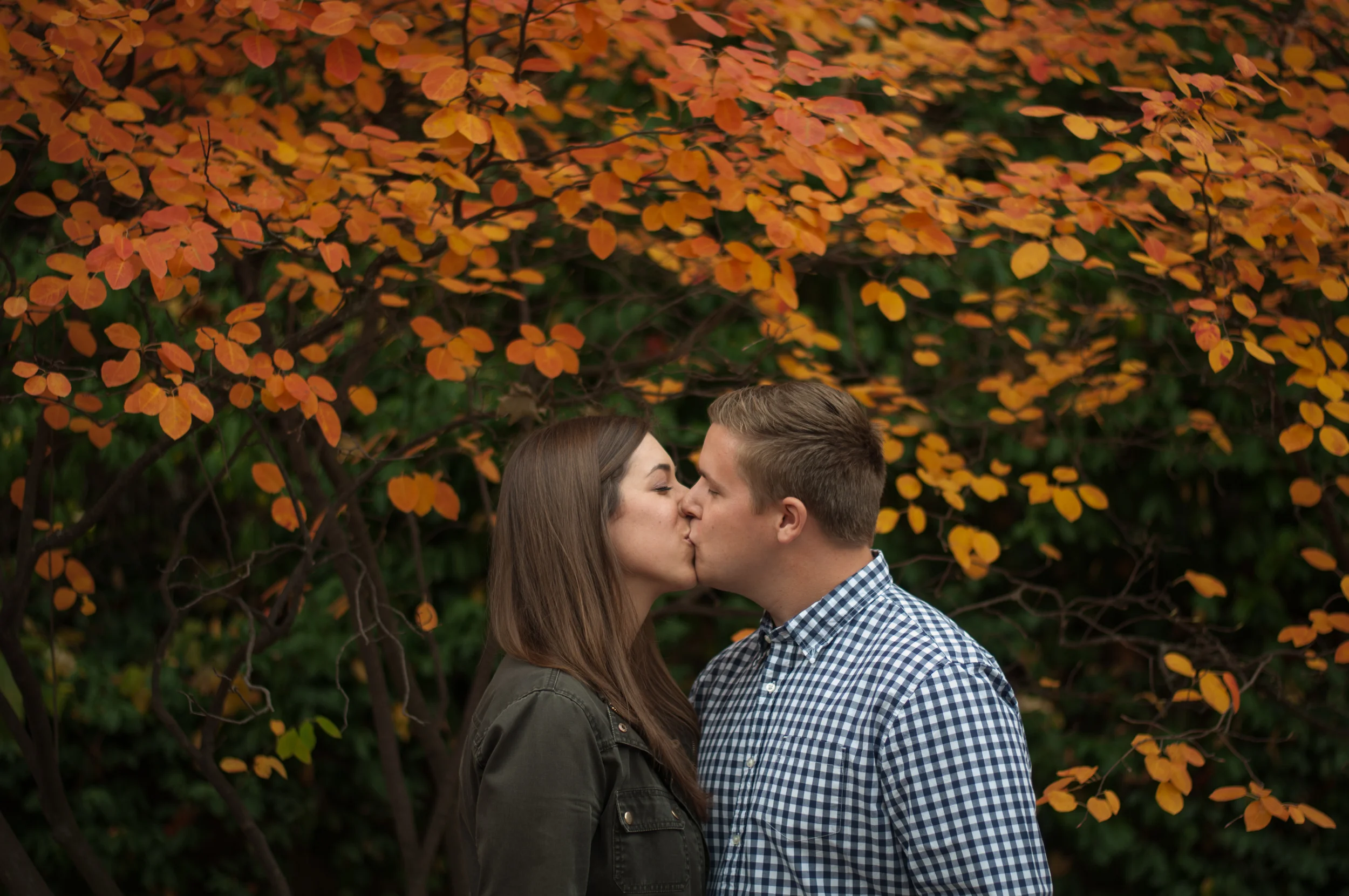meredithdonnellyphotography-carrie&brettengagement-2.jpg