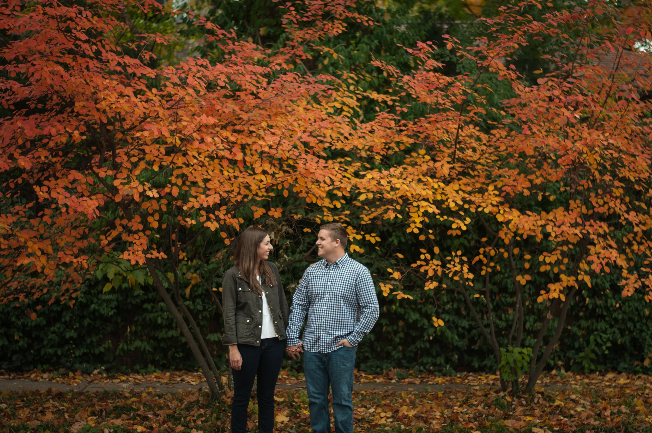 meredithdonnellyphotography-carrie&brettengagement-1.jpg